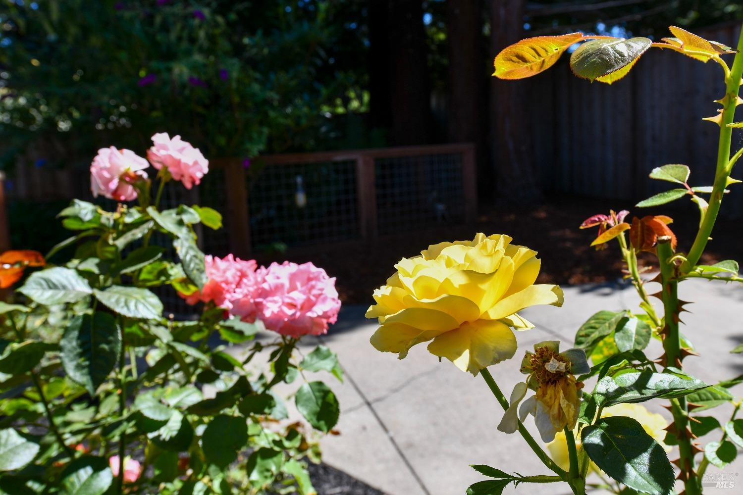 3489 Westminster Way