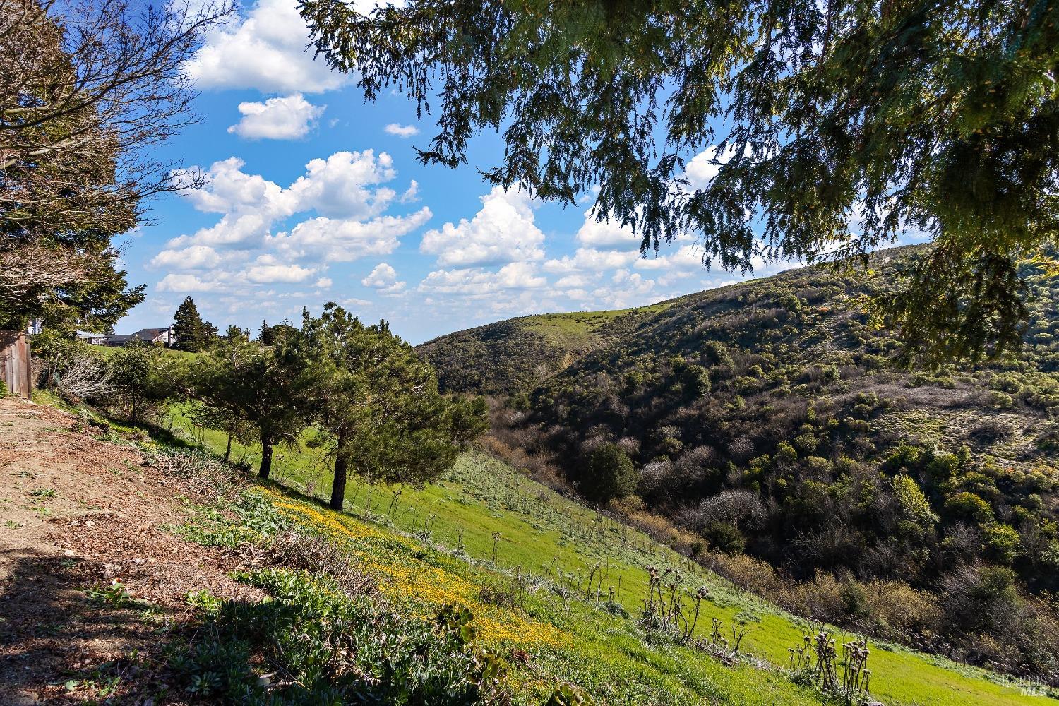 586 Morning Glory Dr