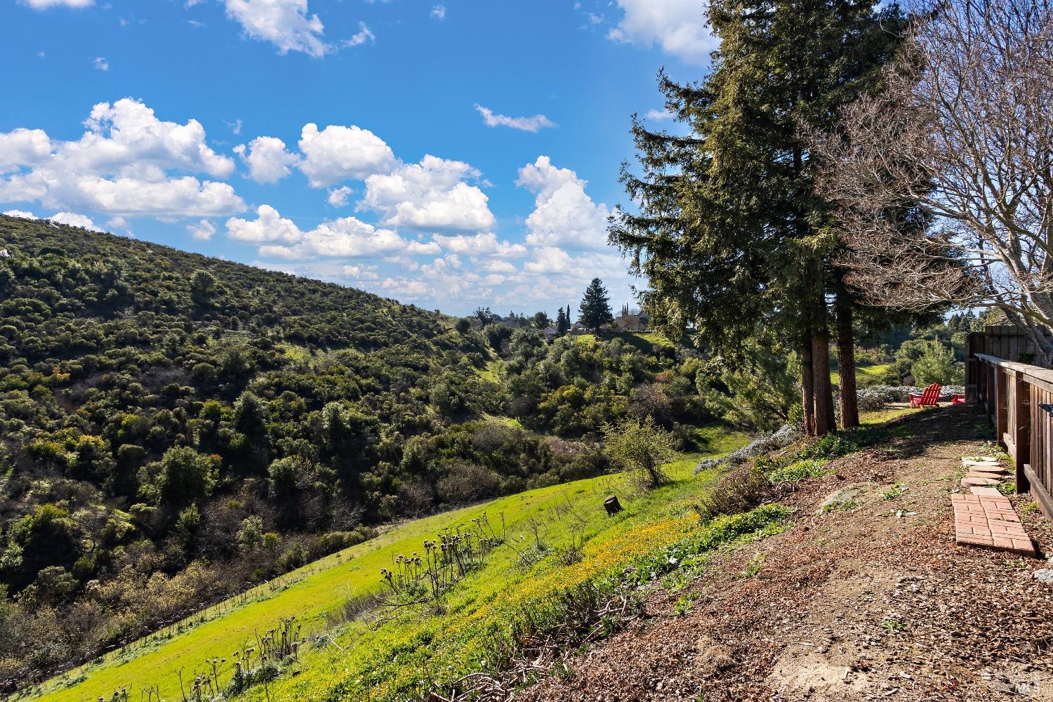 586 Morning Glory Dr