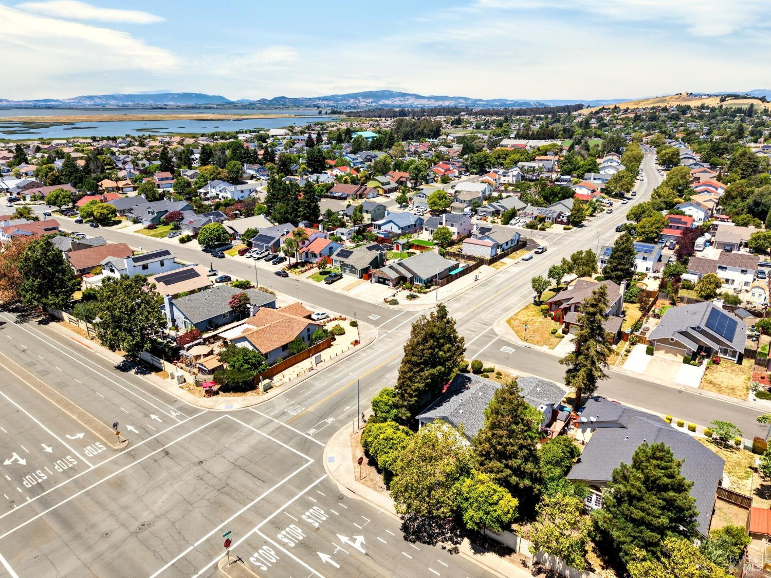 67 Larkspur Street