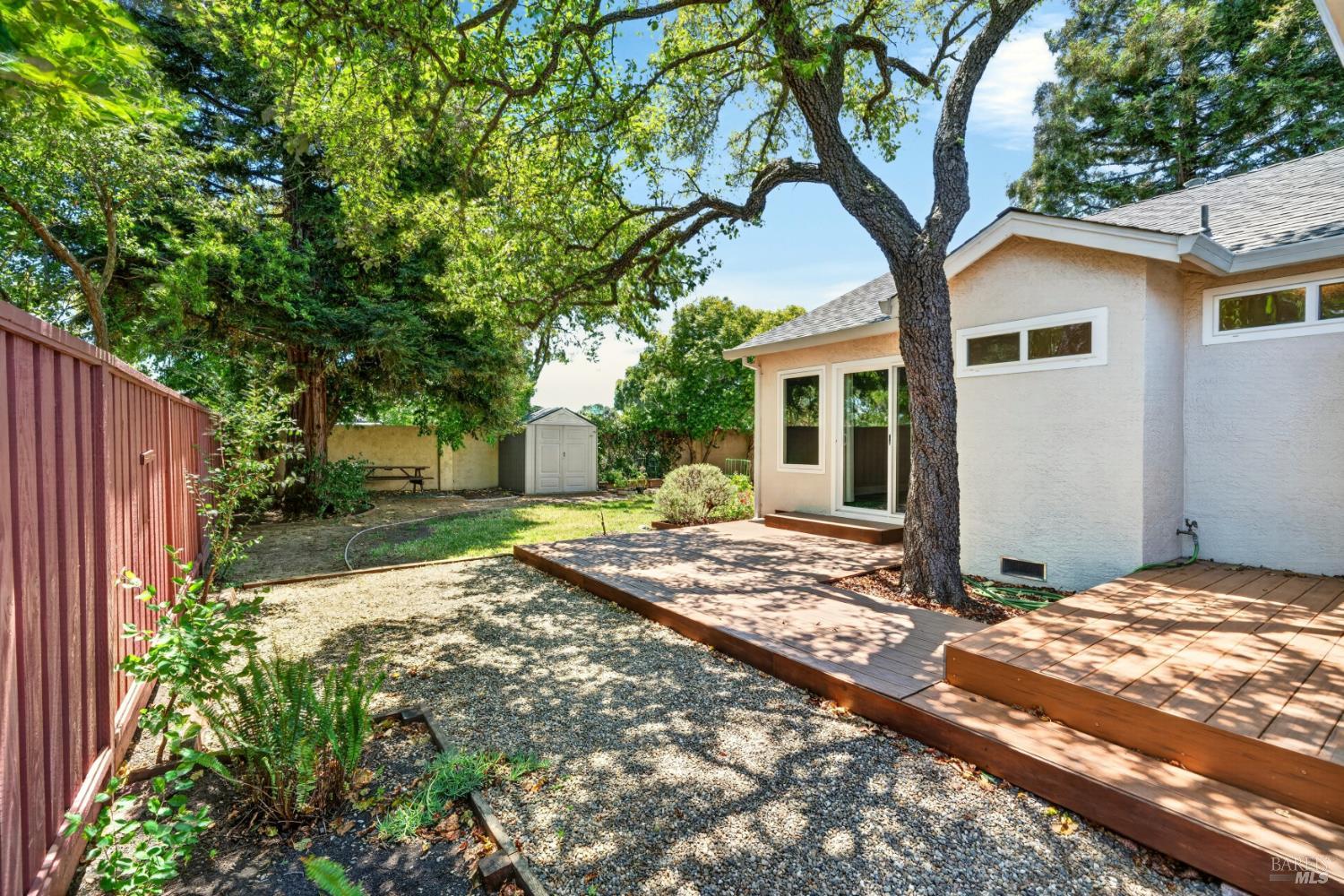 67 Larkspur Street