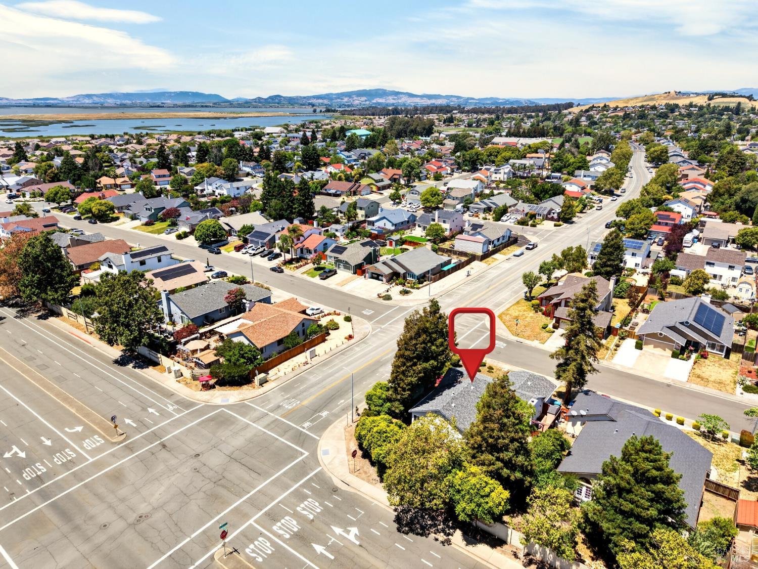 67 Larkspur Street