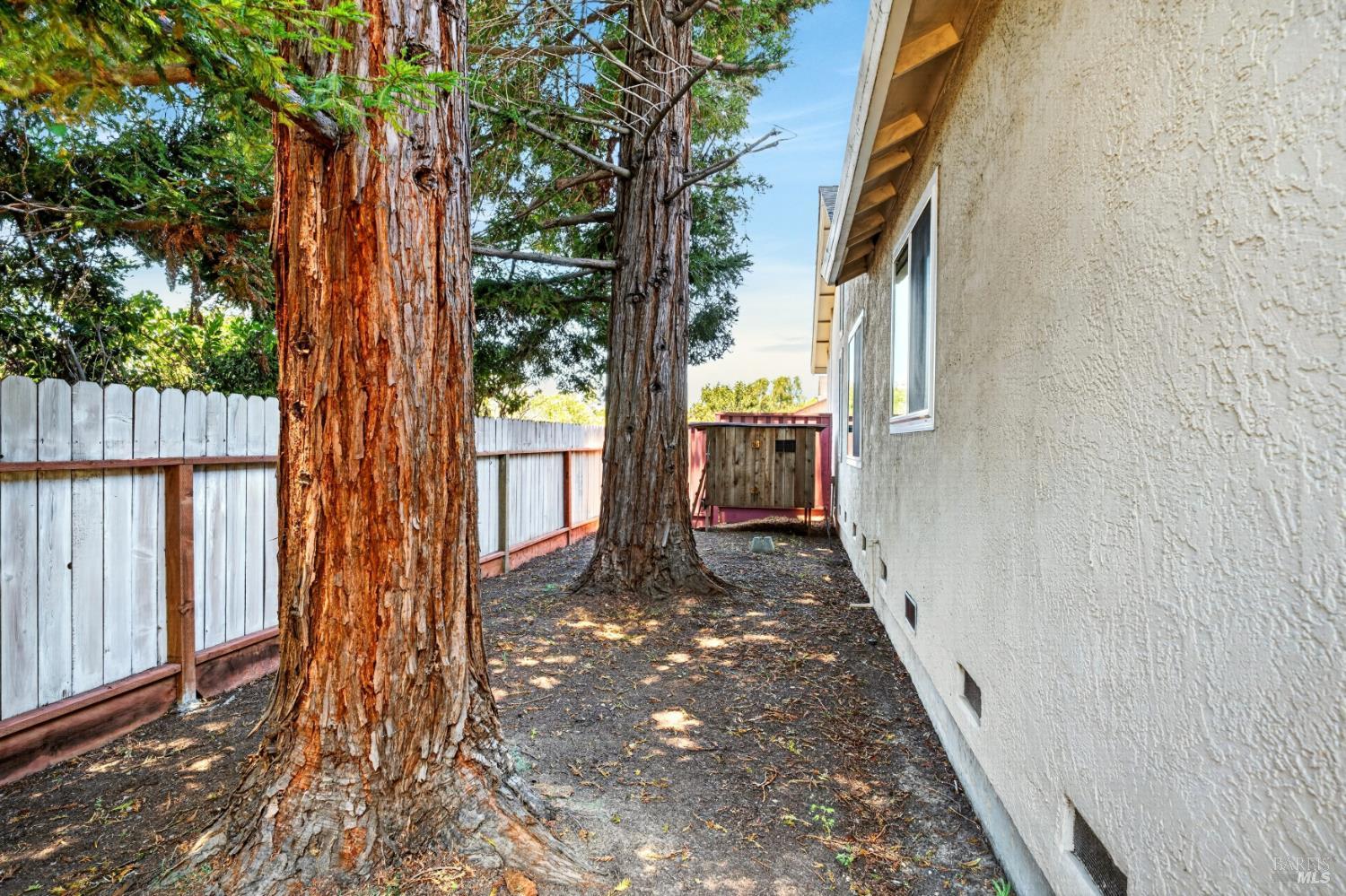67 Larkspur Street