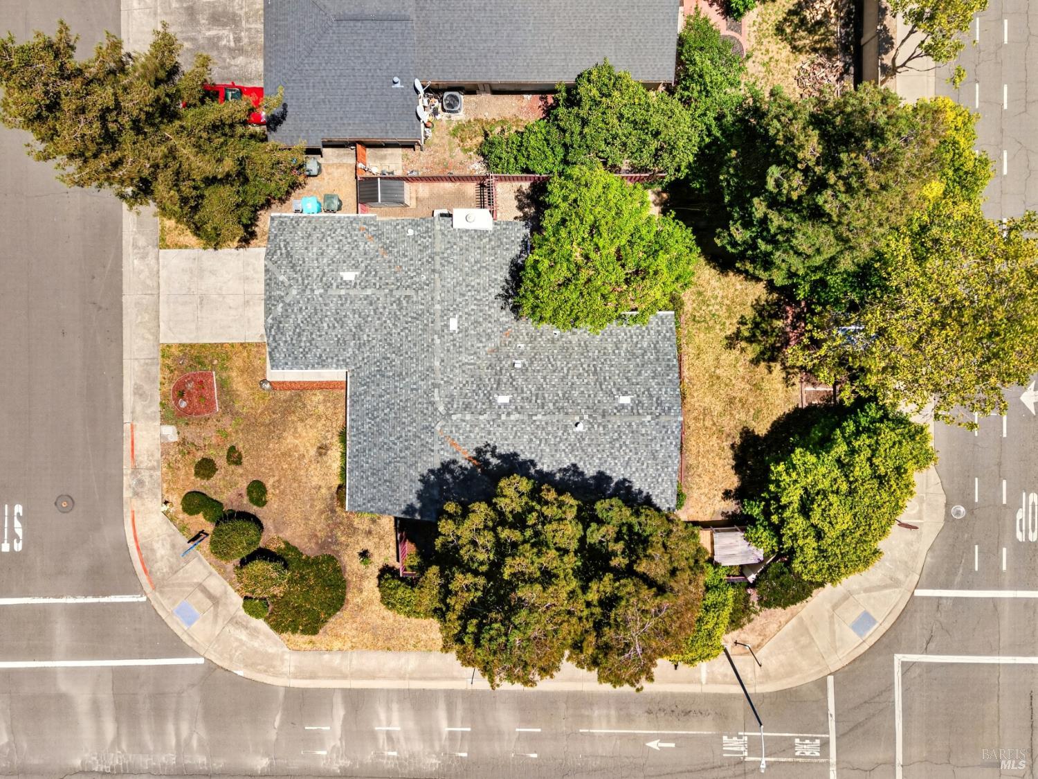 67 Larkspur Street
