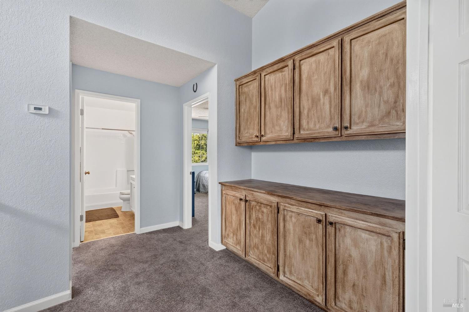 231 Kildare Lane