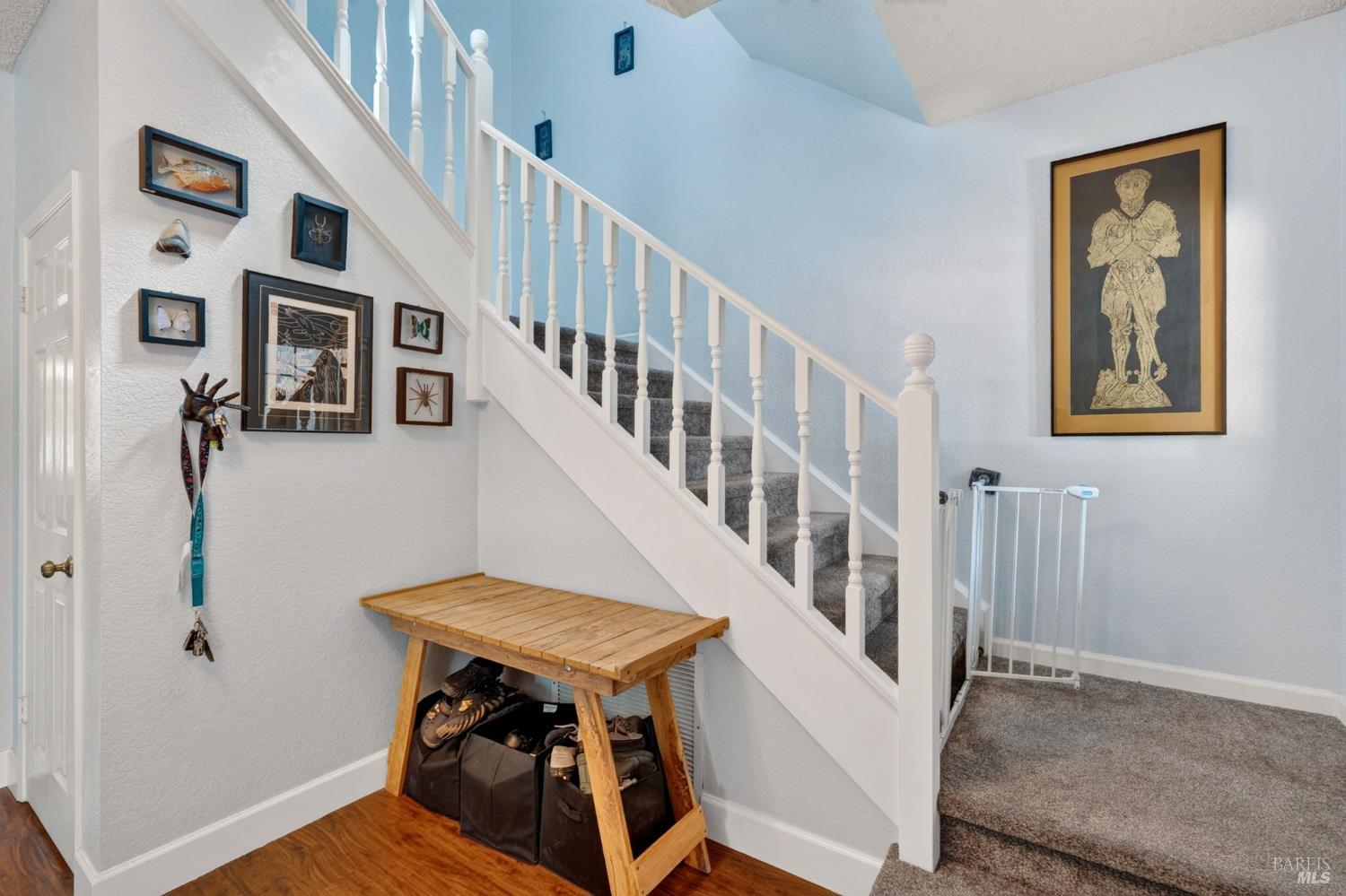 231 Kildare Lane
