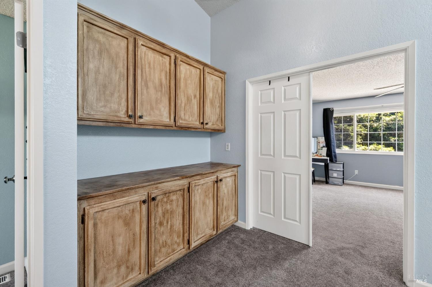 231 Kildare Lane