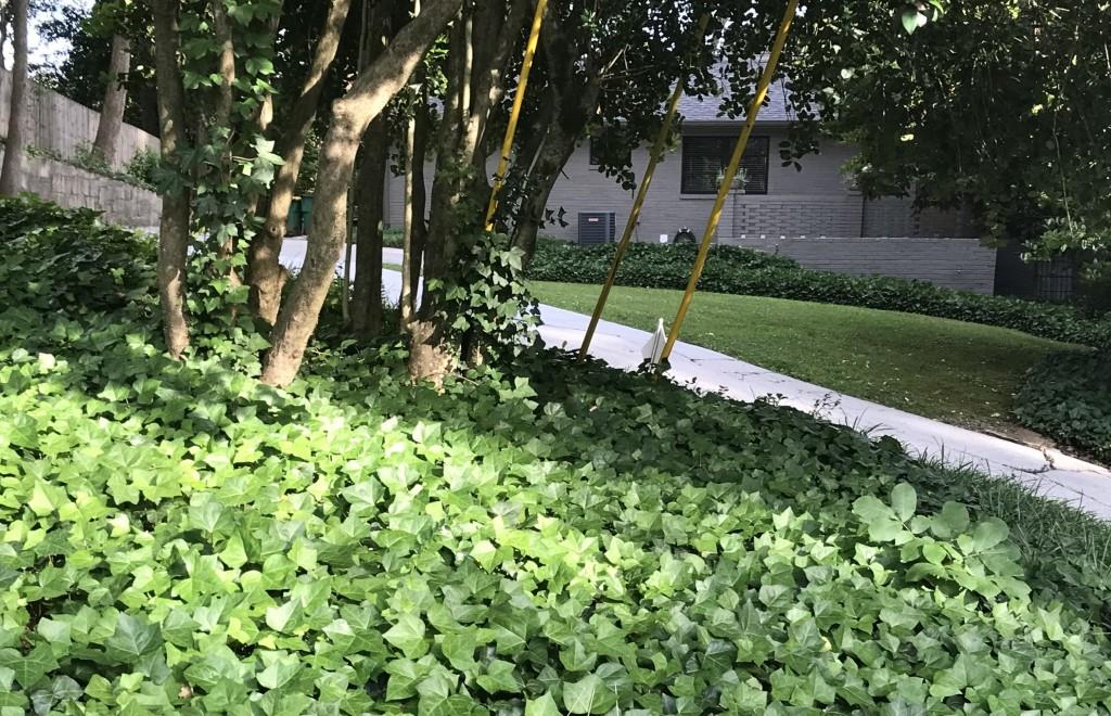 776 Windsor Parkway NE