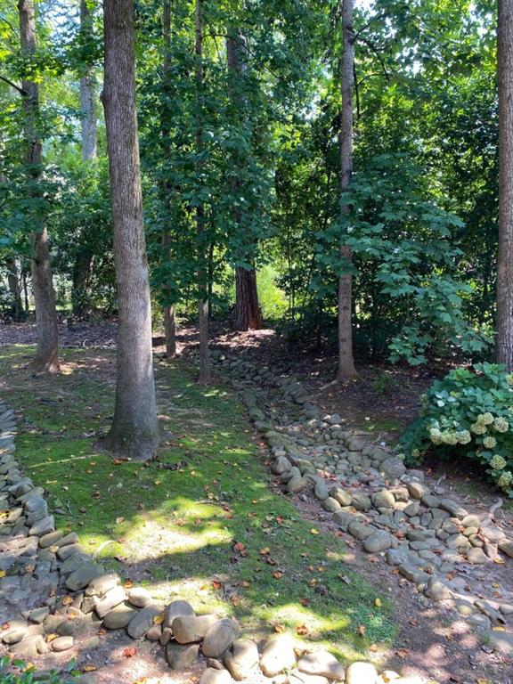 459 Atlanta Country Club Drive