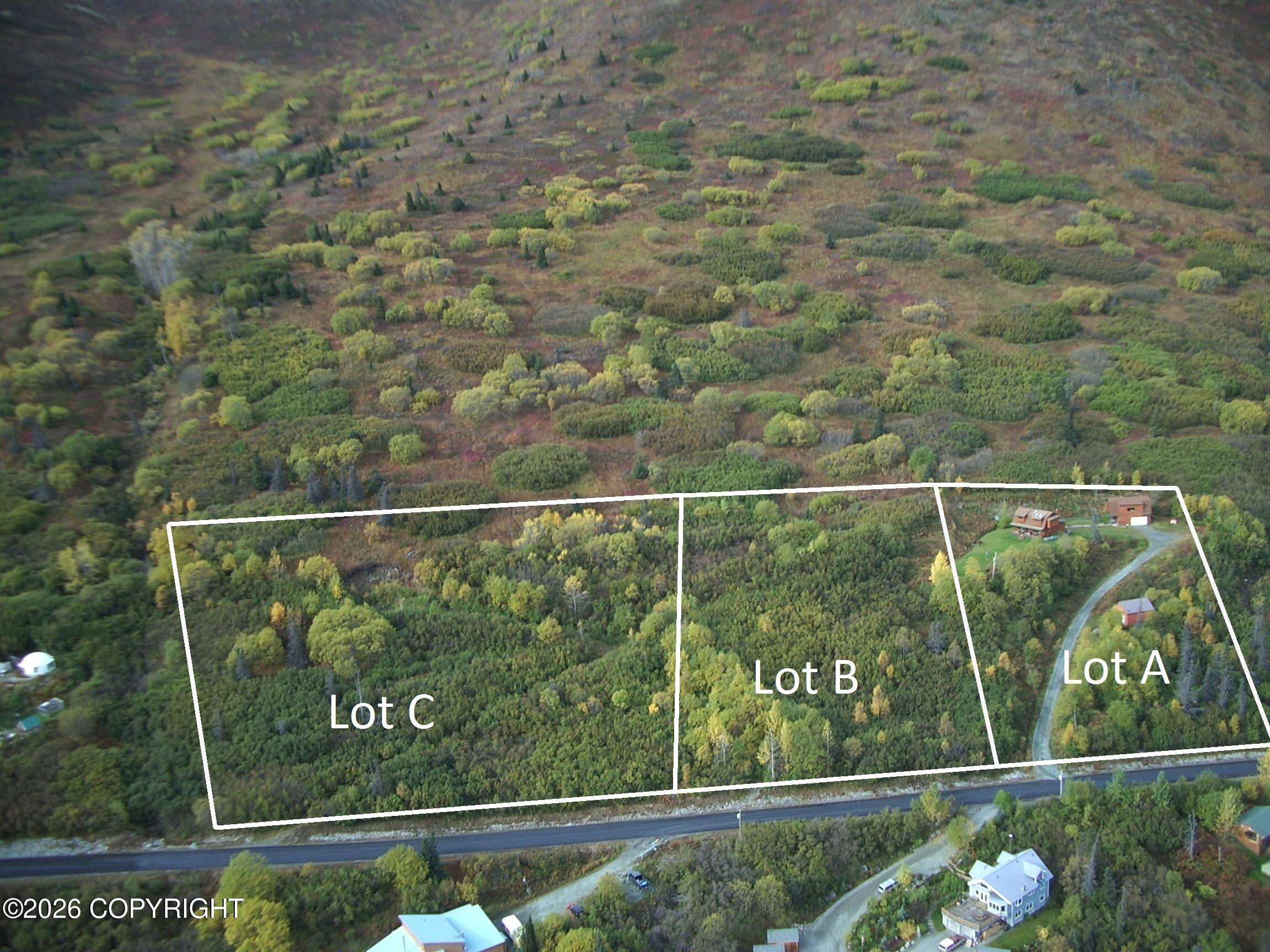 Aerial view of three wooded parcels labeled Lots A, B, and C, with buildings and a curved driveway on Lot A.