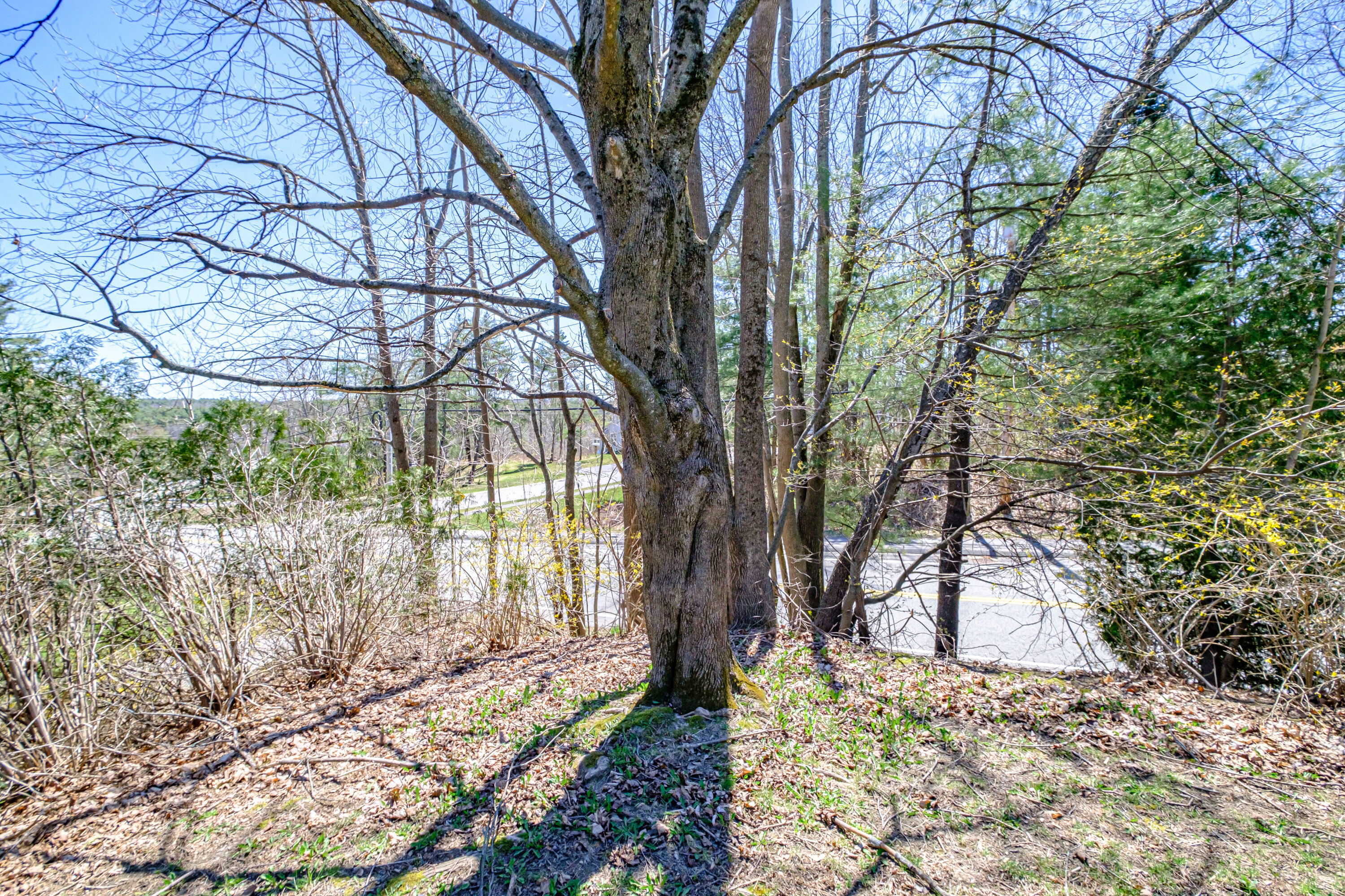 71 Blackstrap Road