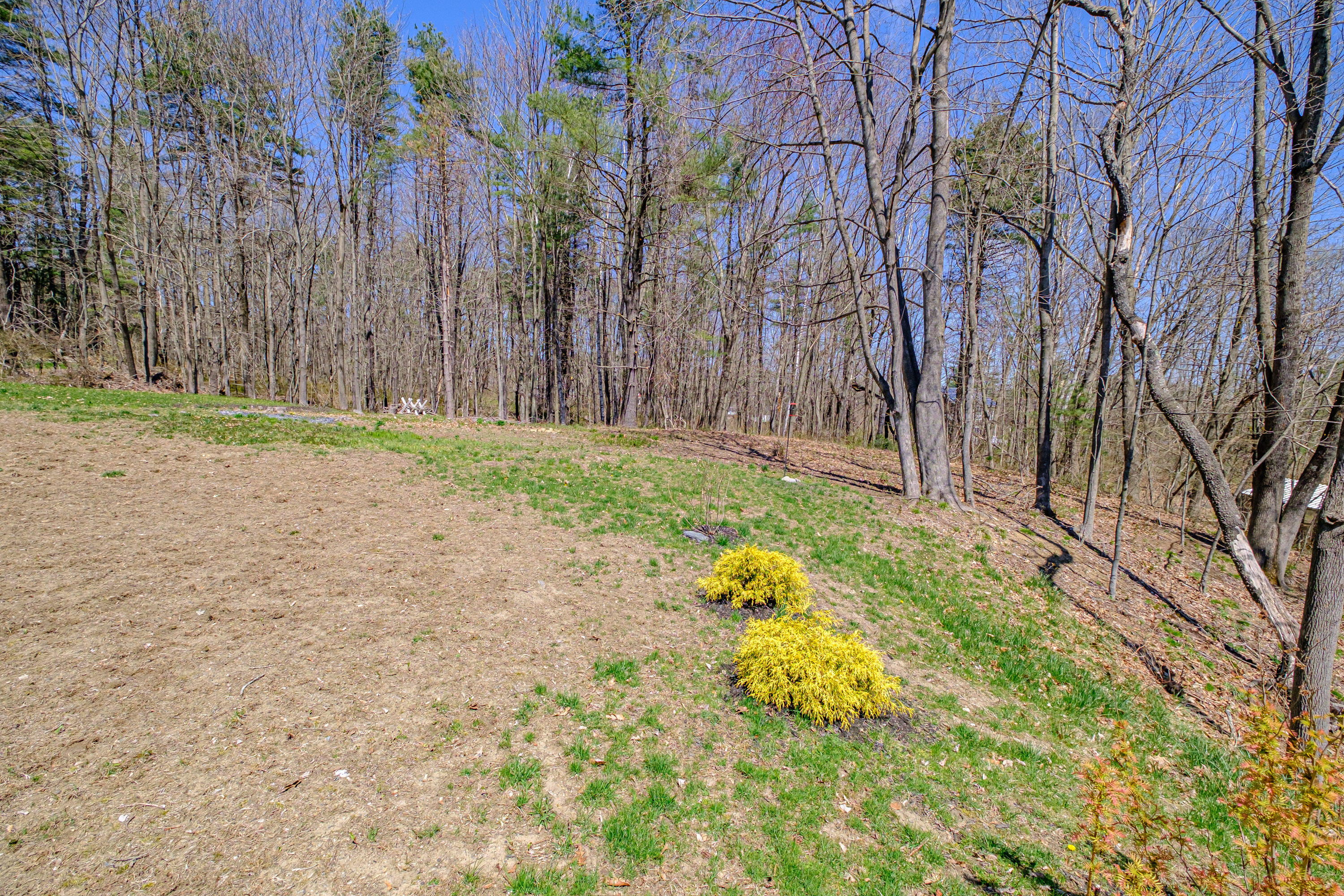 71 Blackstrap Road