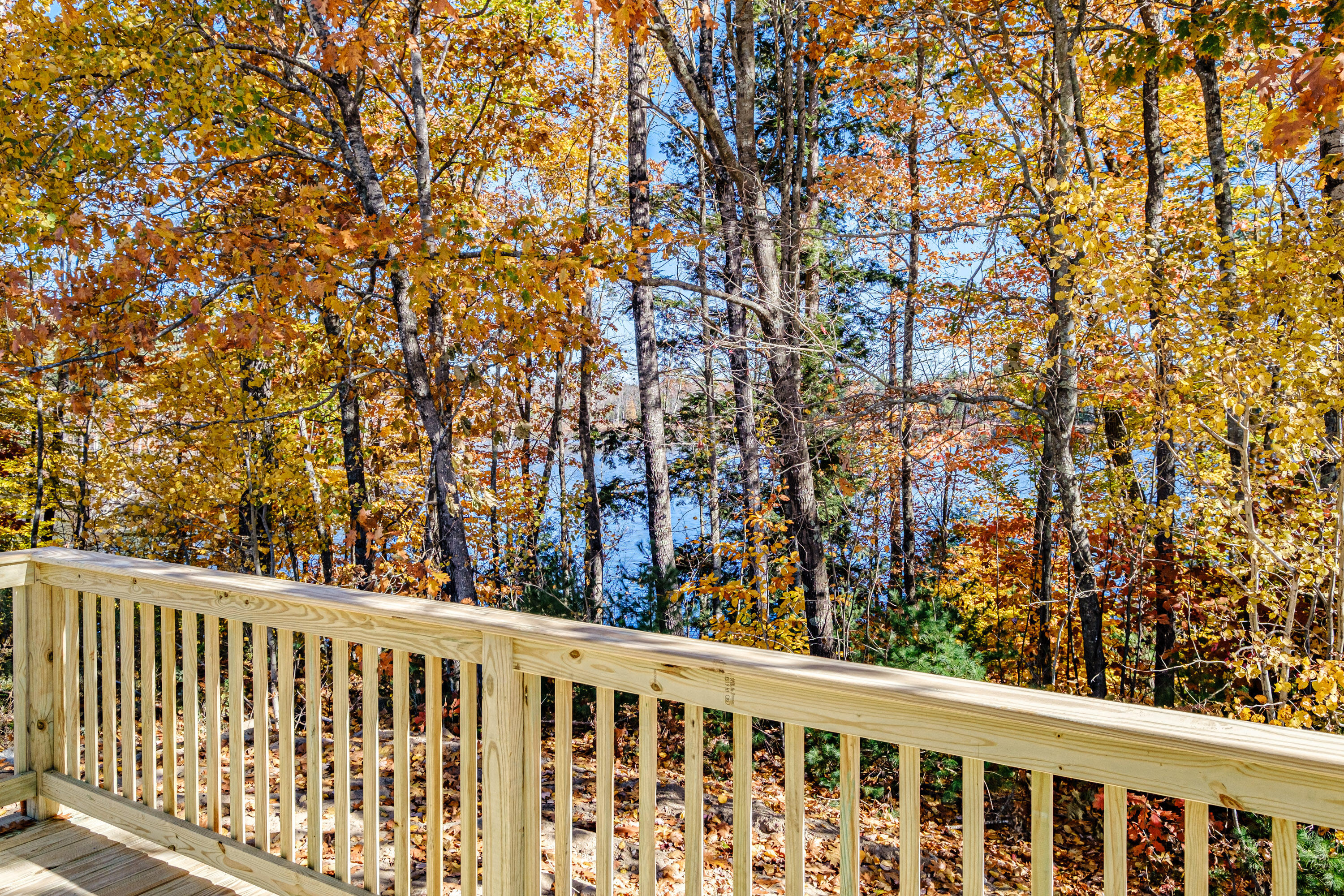 15 Birchwood Drive