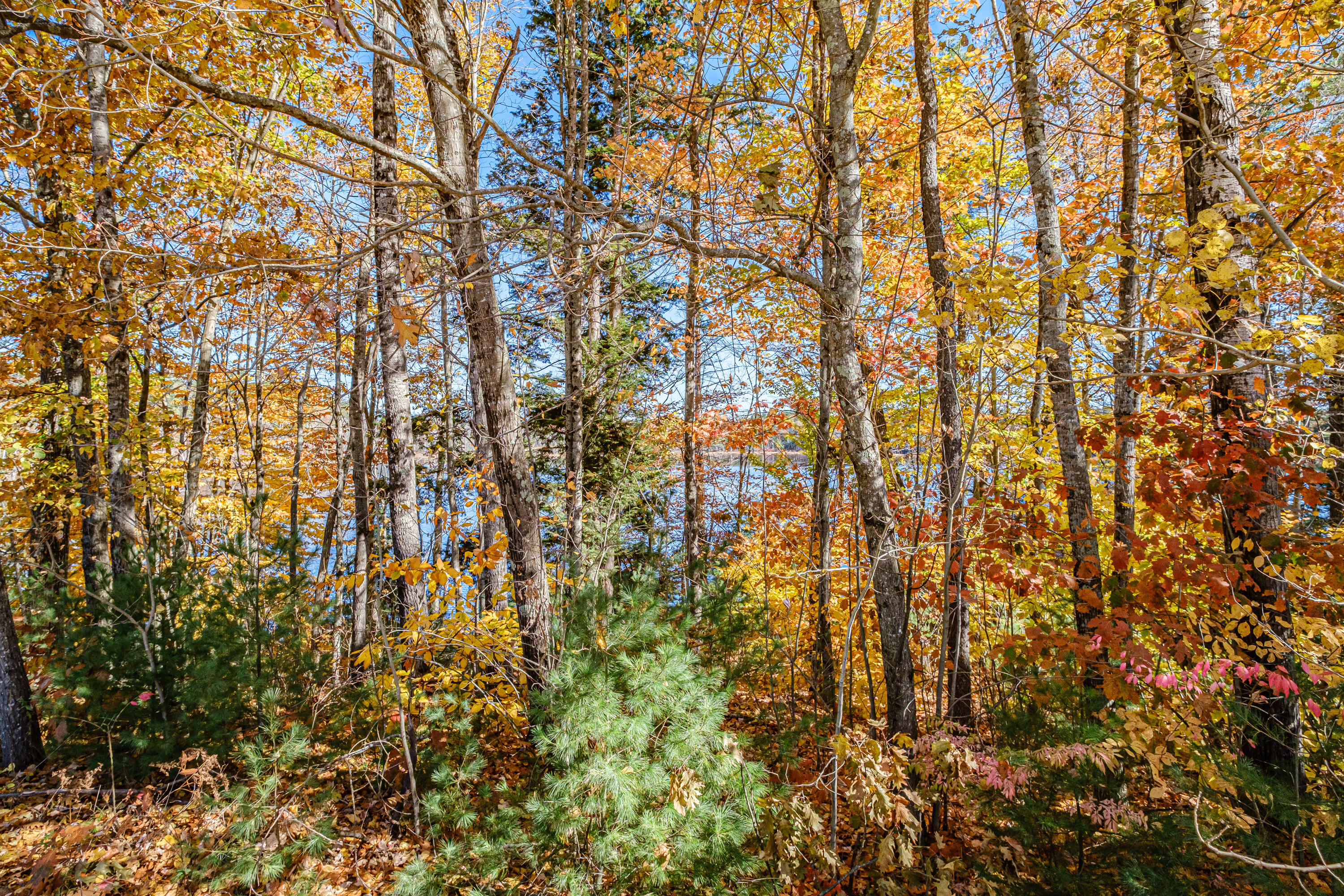 15 Birchwood Drive