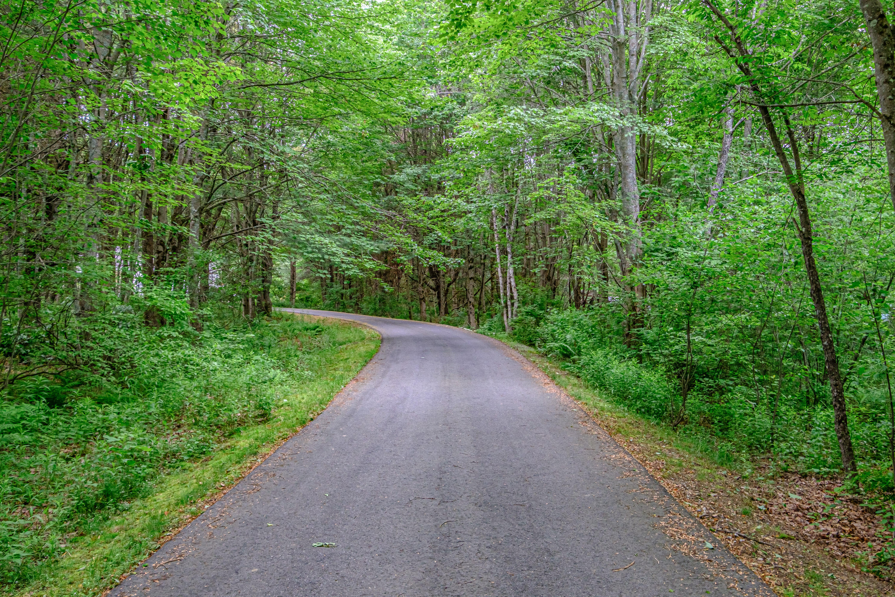 4 Bittersweet Lane