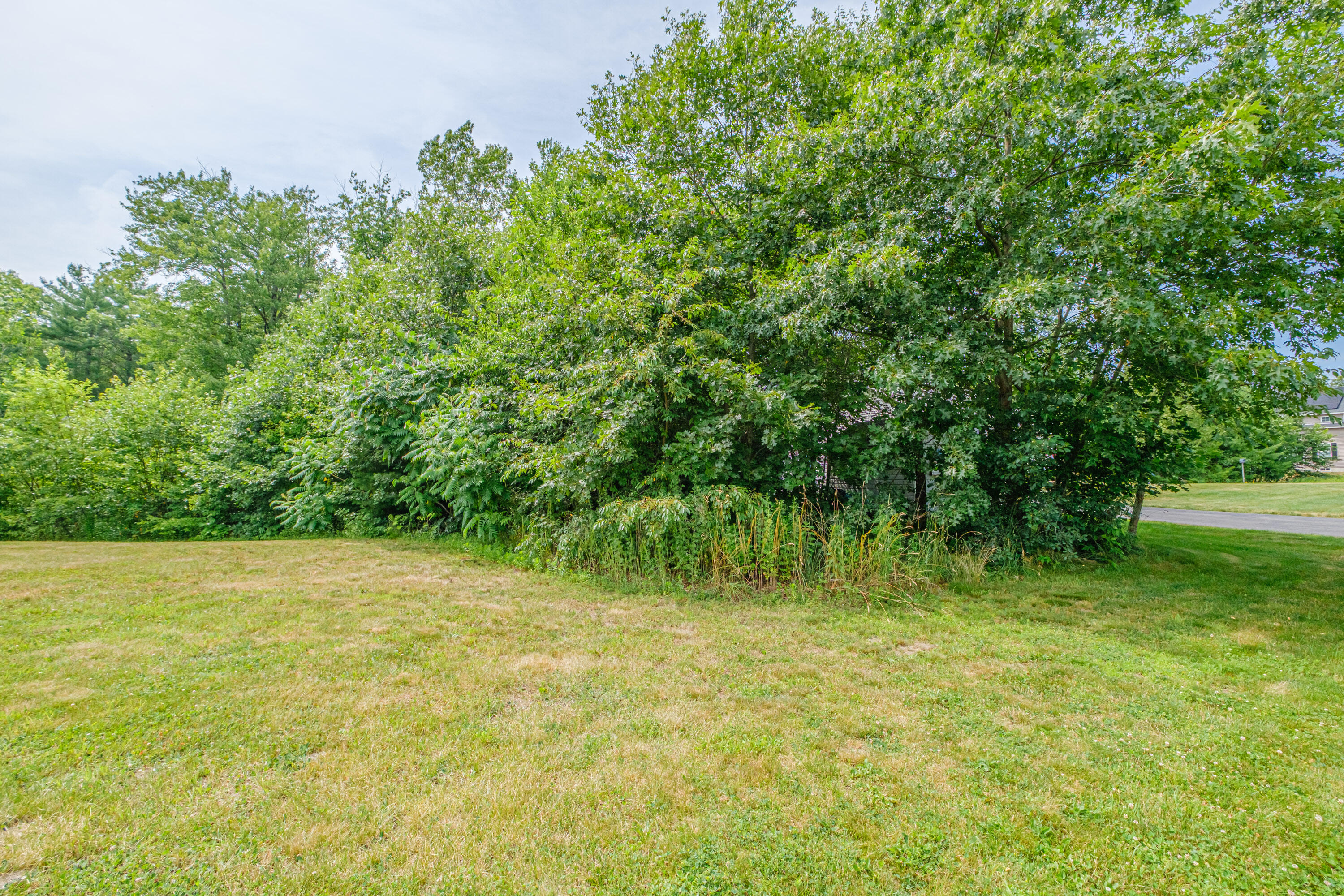 76 Buttonbush Lane