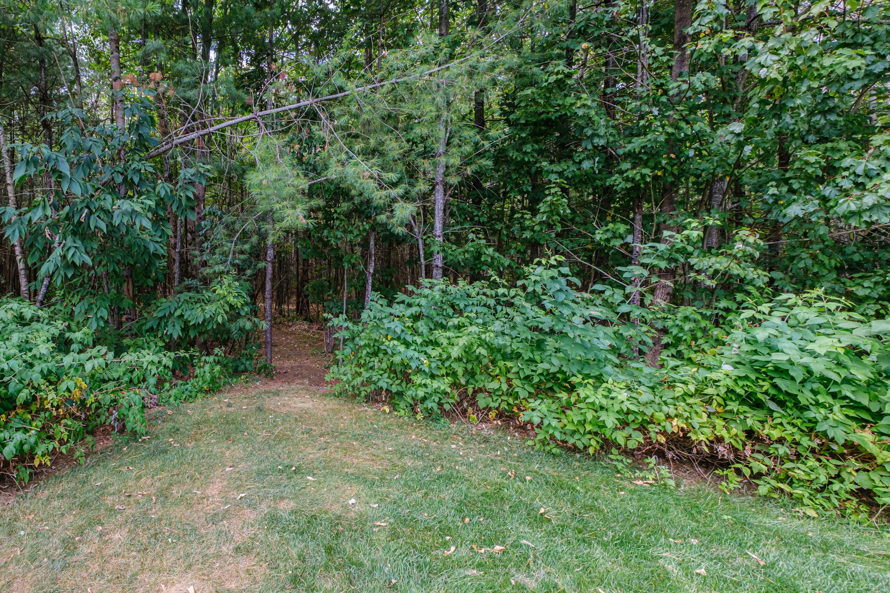 8 Cotton Drive