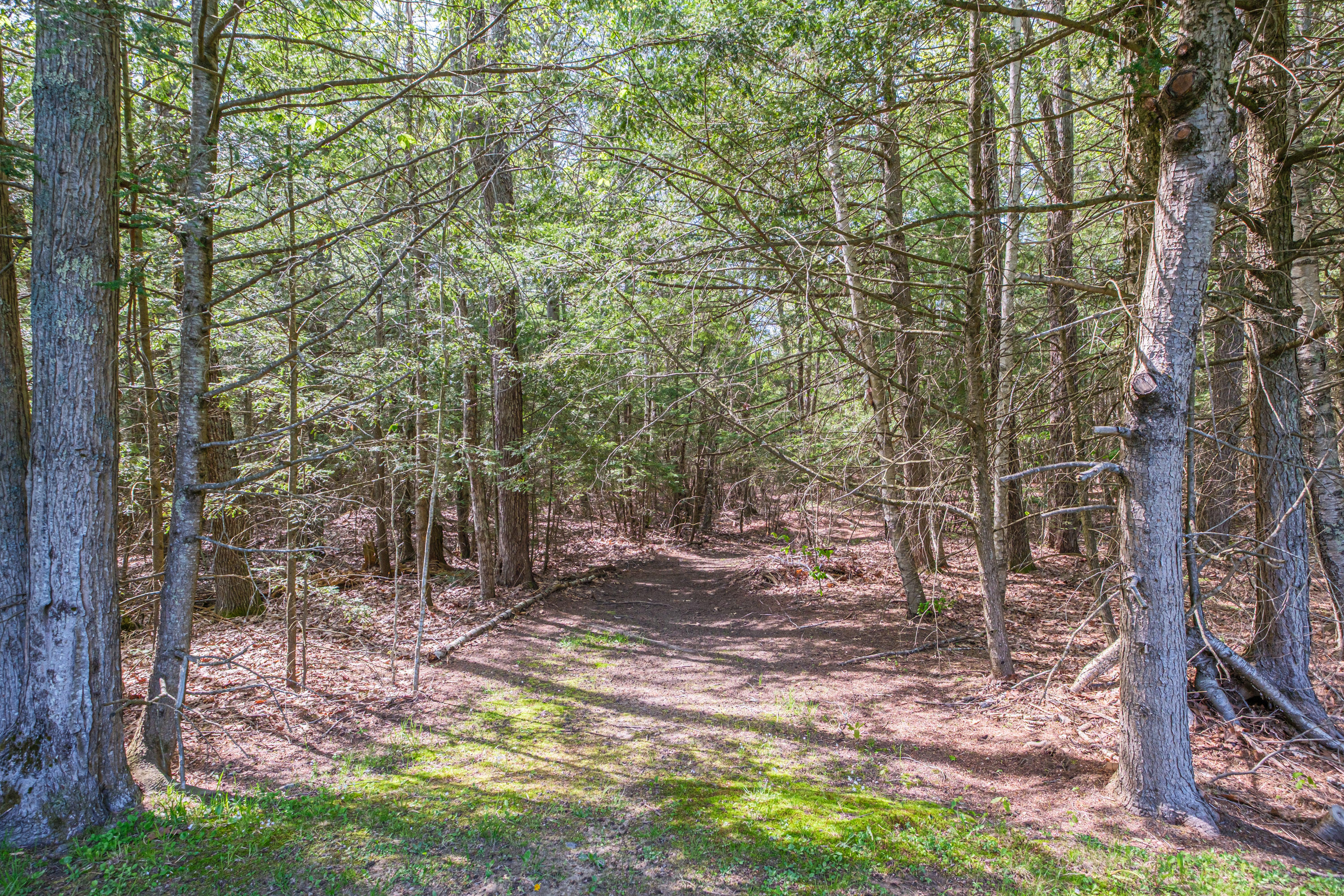 9 Laurel Ridge Road