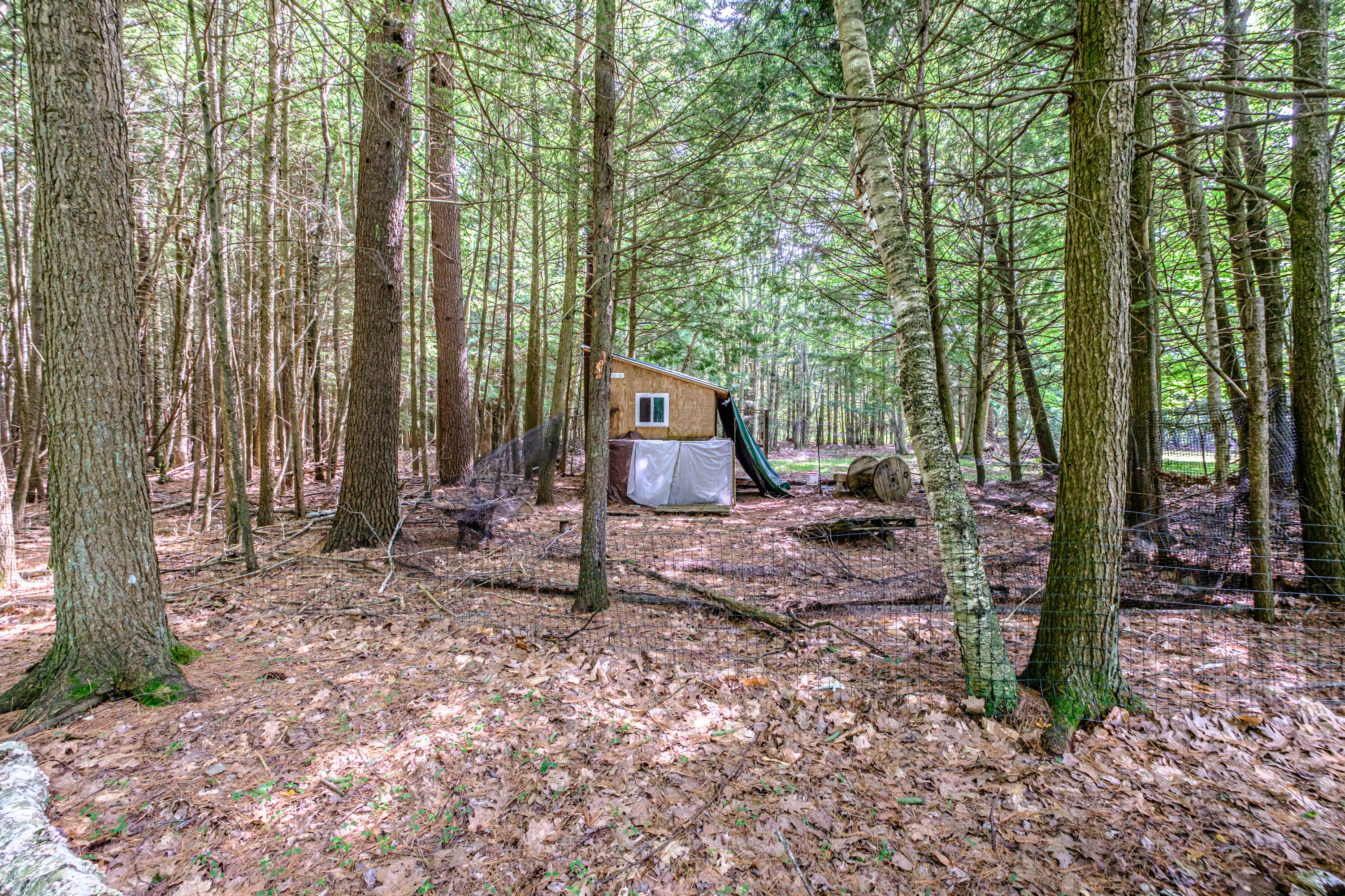 262 Holmes Road