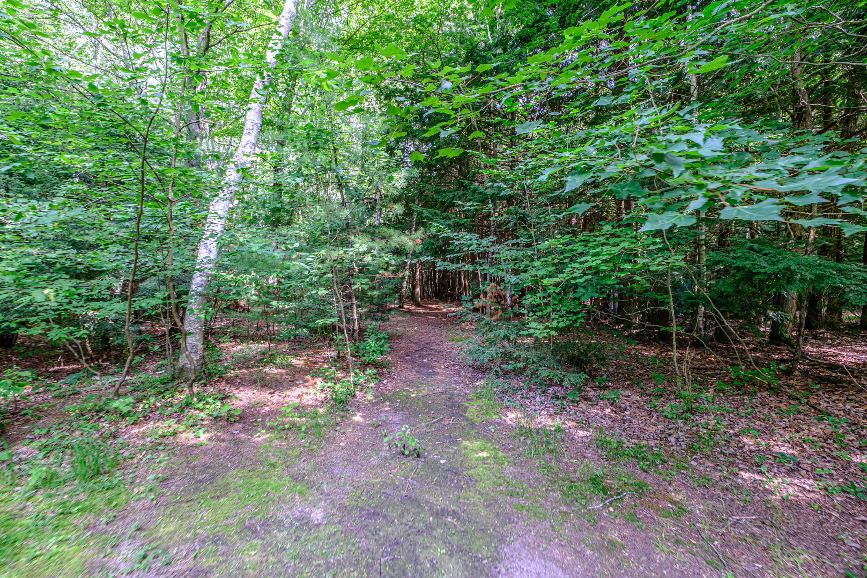 262 Holmes Road