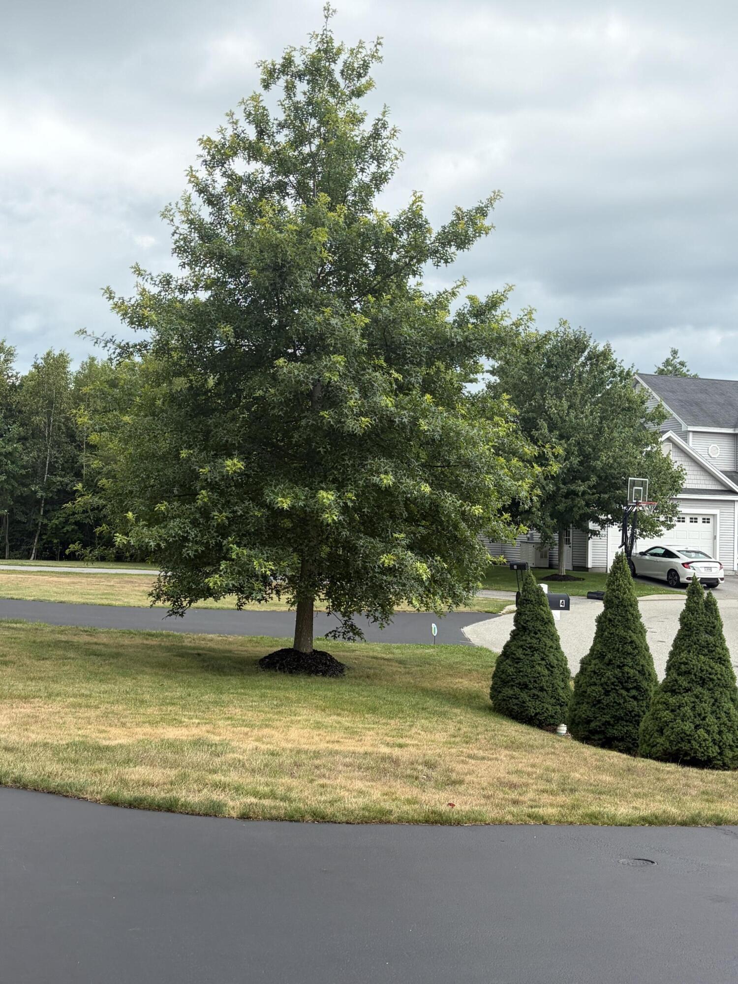 4 Sumac Lane