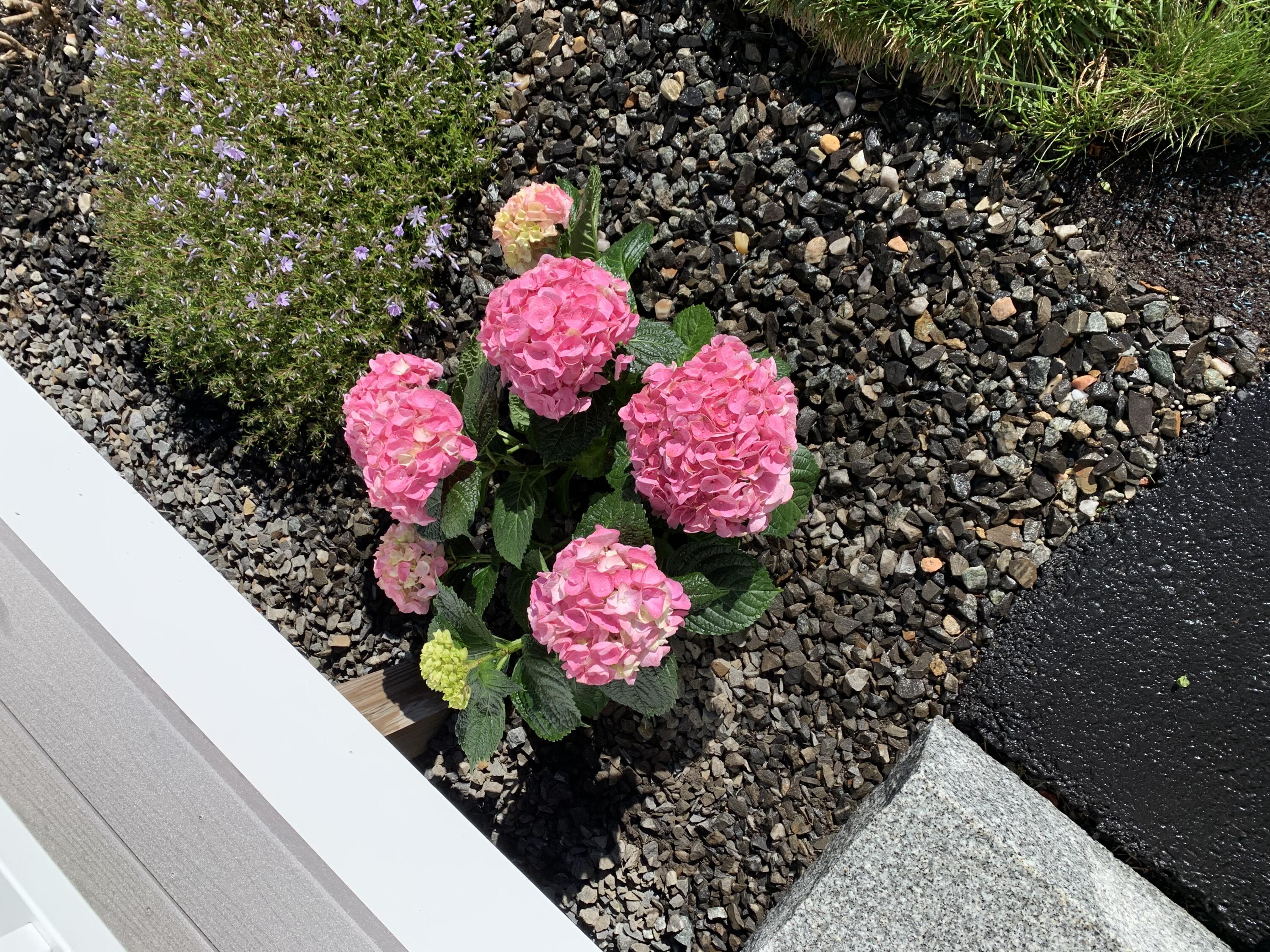 4 Sumac Lane