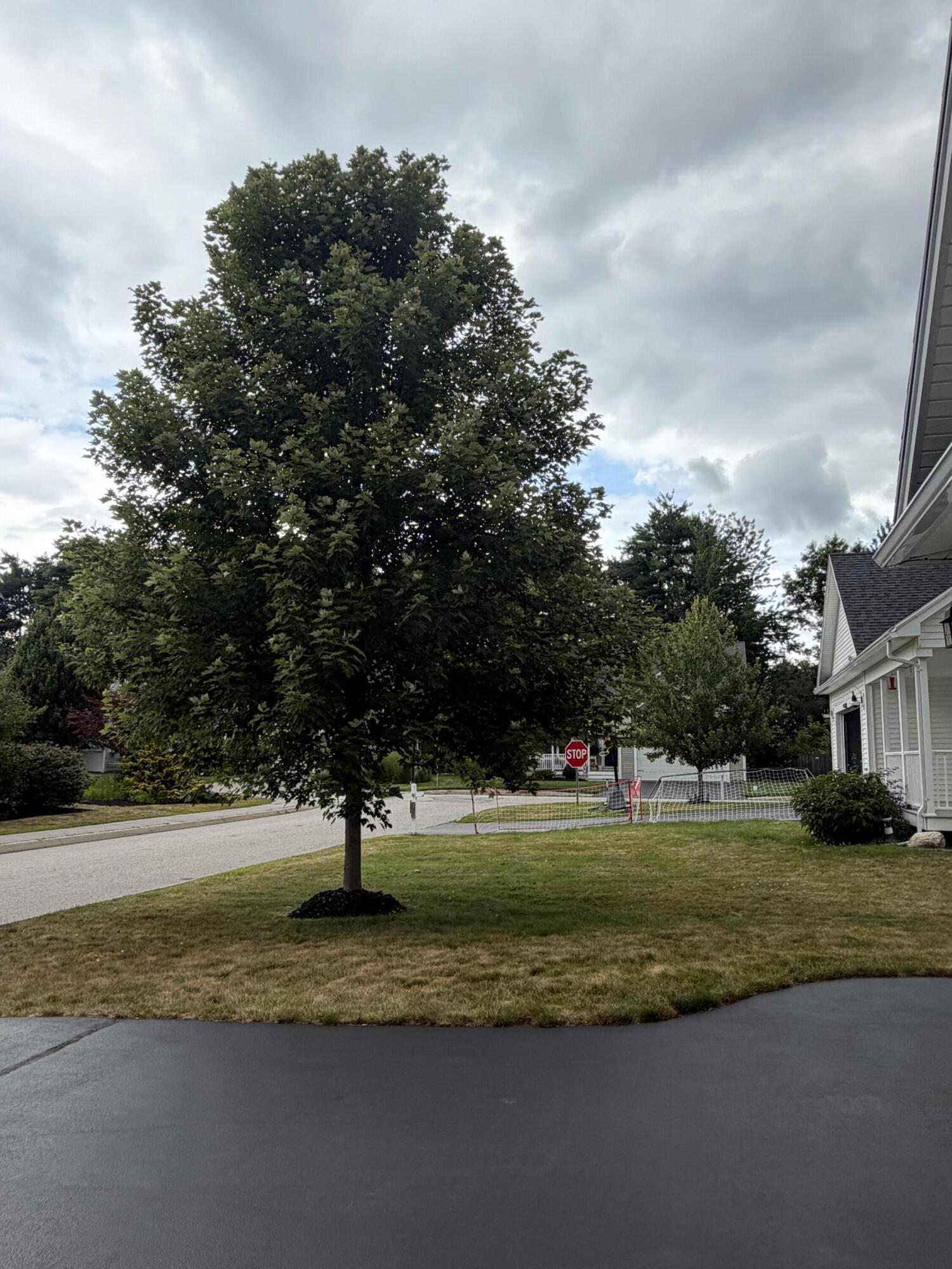 4 Sumac Lane