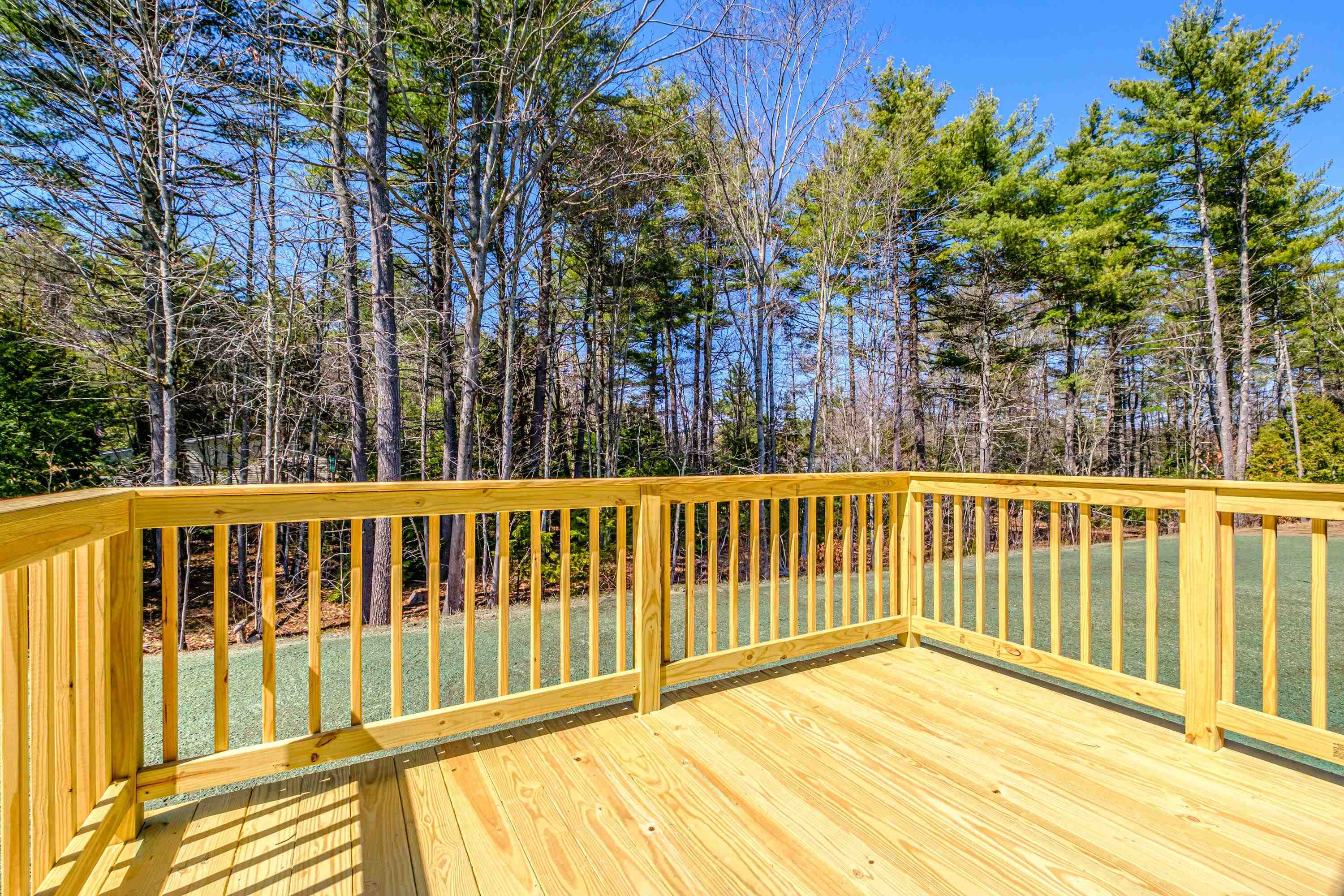 71 Diamondback Drive