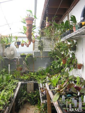 878 E Mitchell Drive