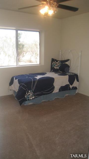 17721 N Avenida Valle Verde Del Norte