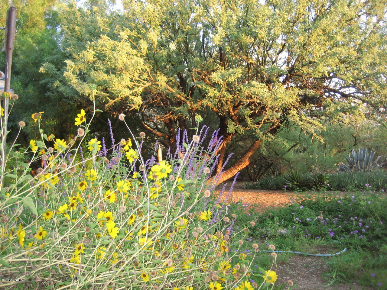 16225 N Forecastle Avenue