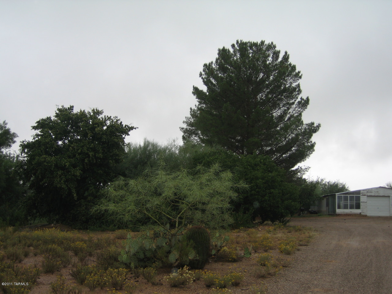 16225 N Forecastle Avenue