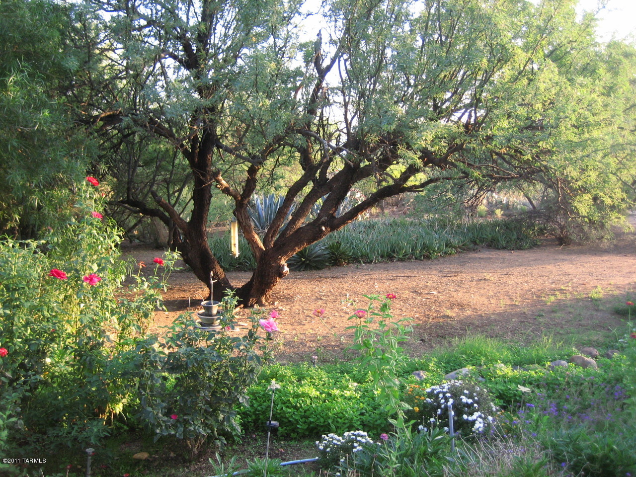 16225 N Forecastle Avenue