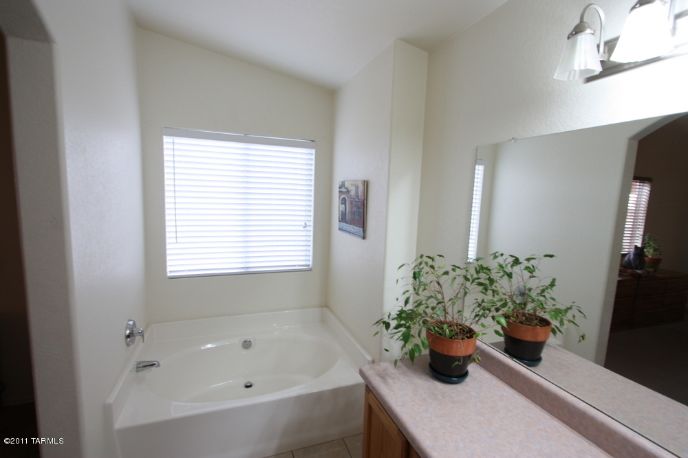 7812 S Placita Senora Maria