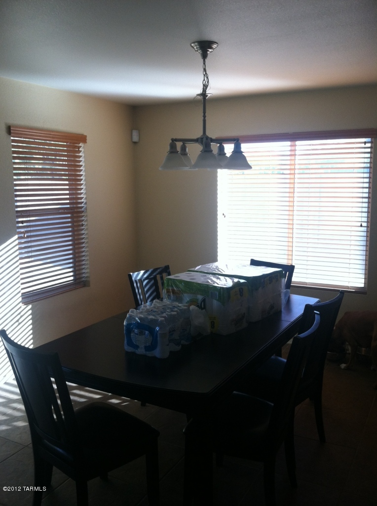 1041 W Calle Vista De Suenos