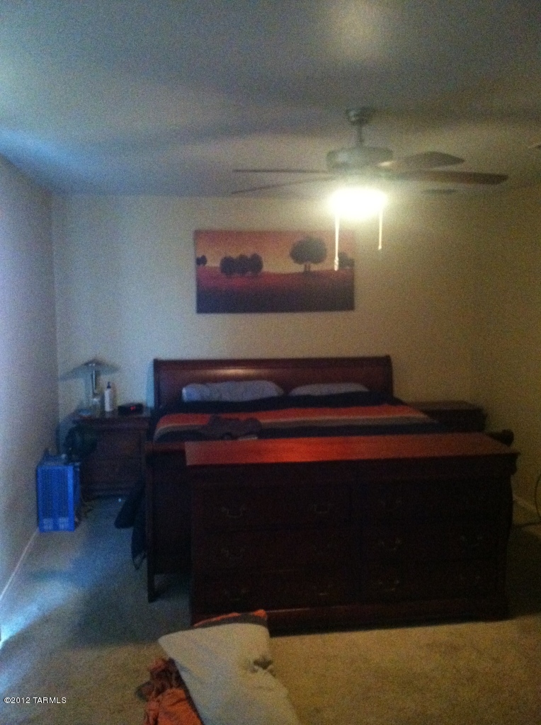 1041 W Calle Vista De Suenos