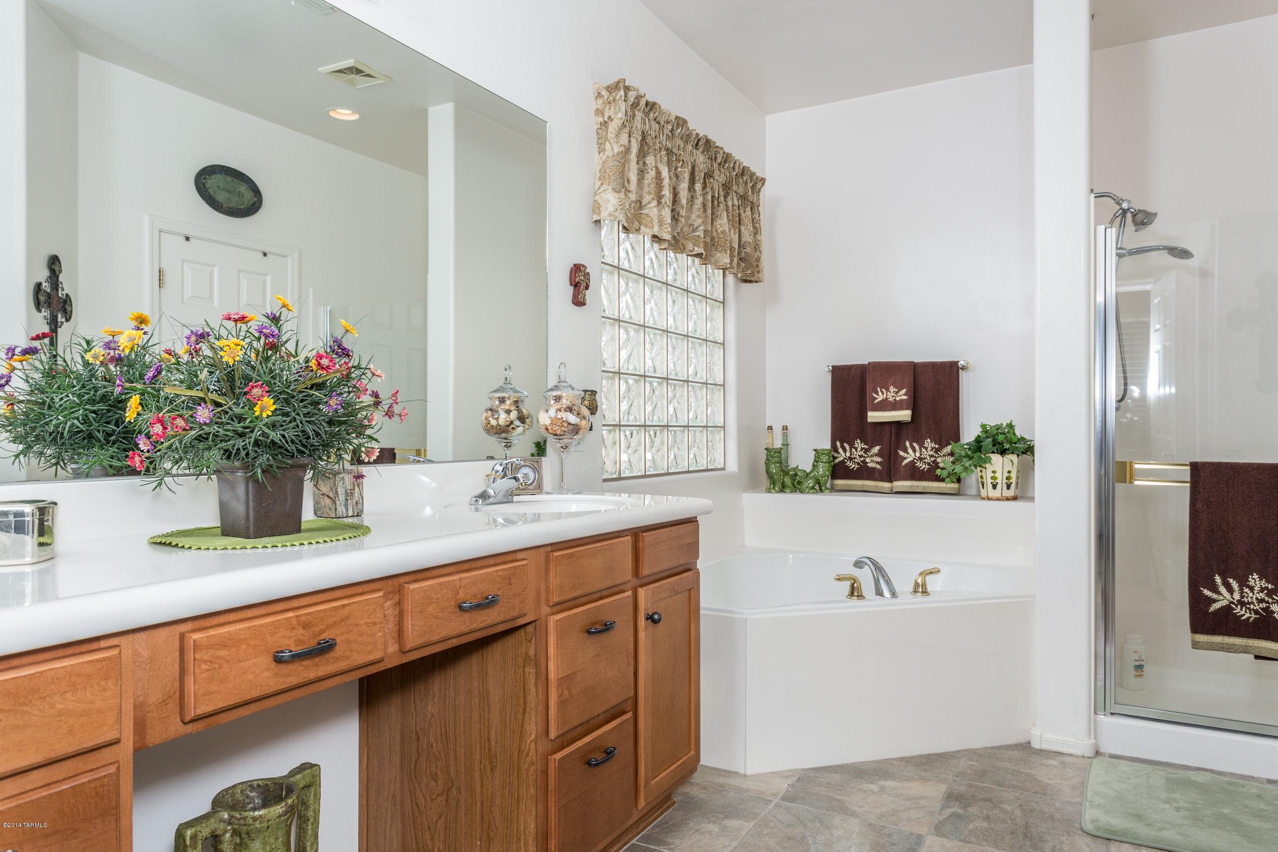 10962 S Camino Pozoblanco