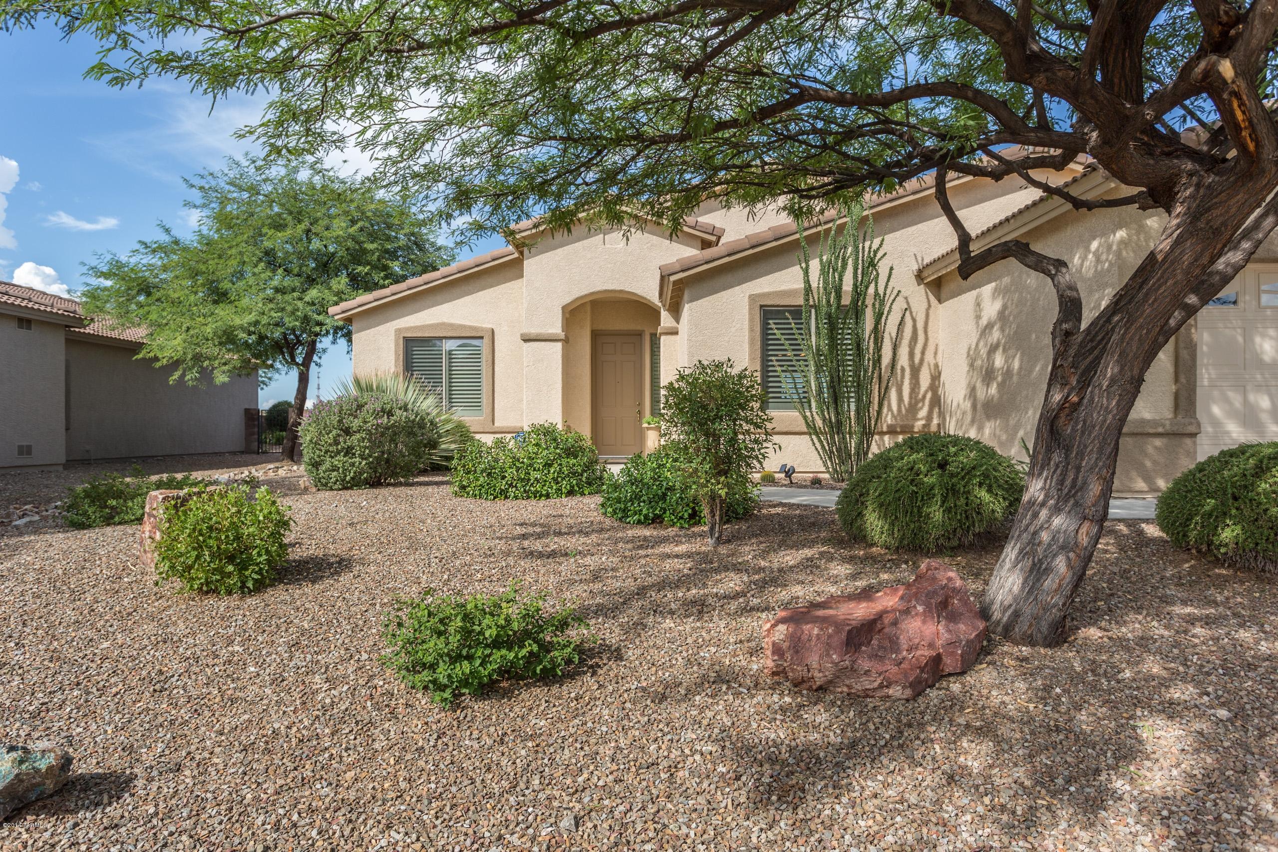 10962 S Camino Pozoblanco