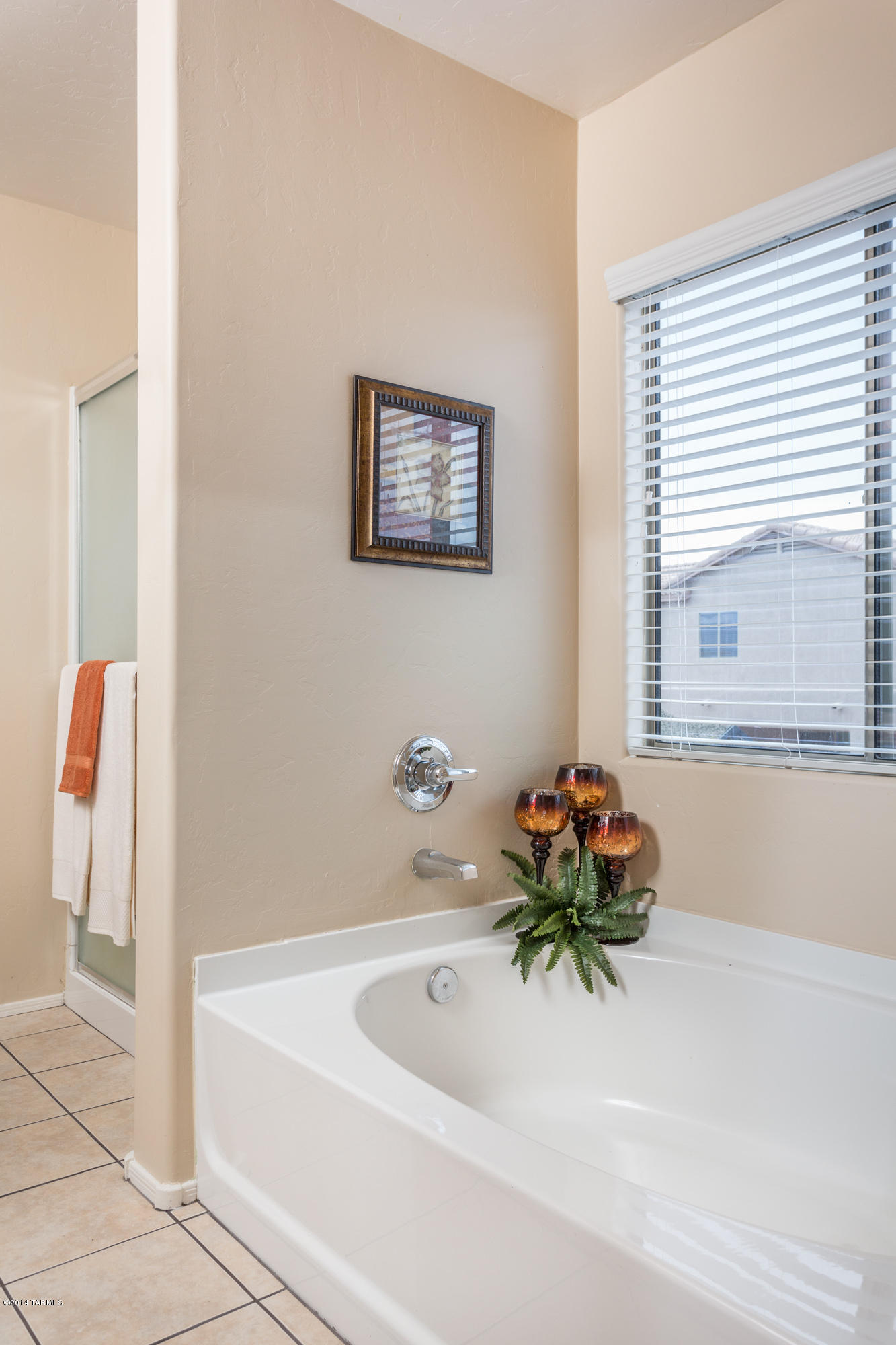 12754 E Red Iron Trail