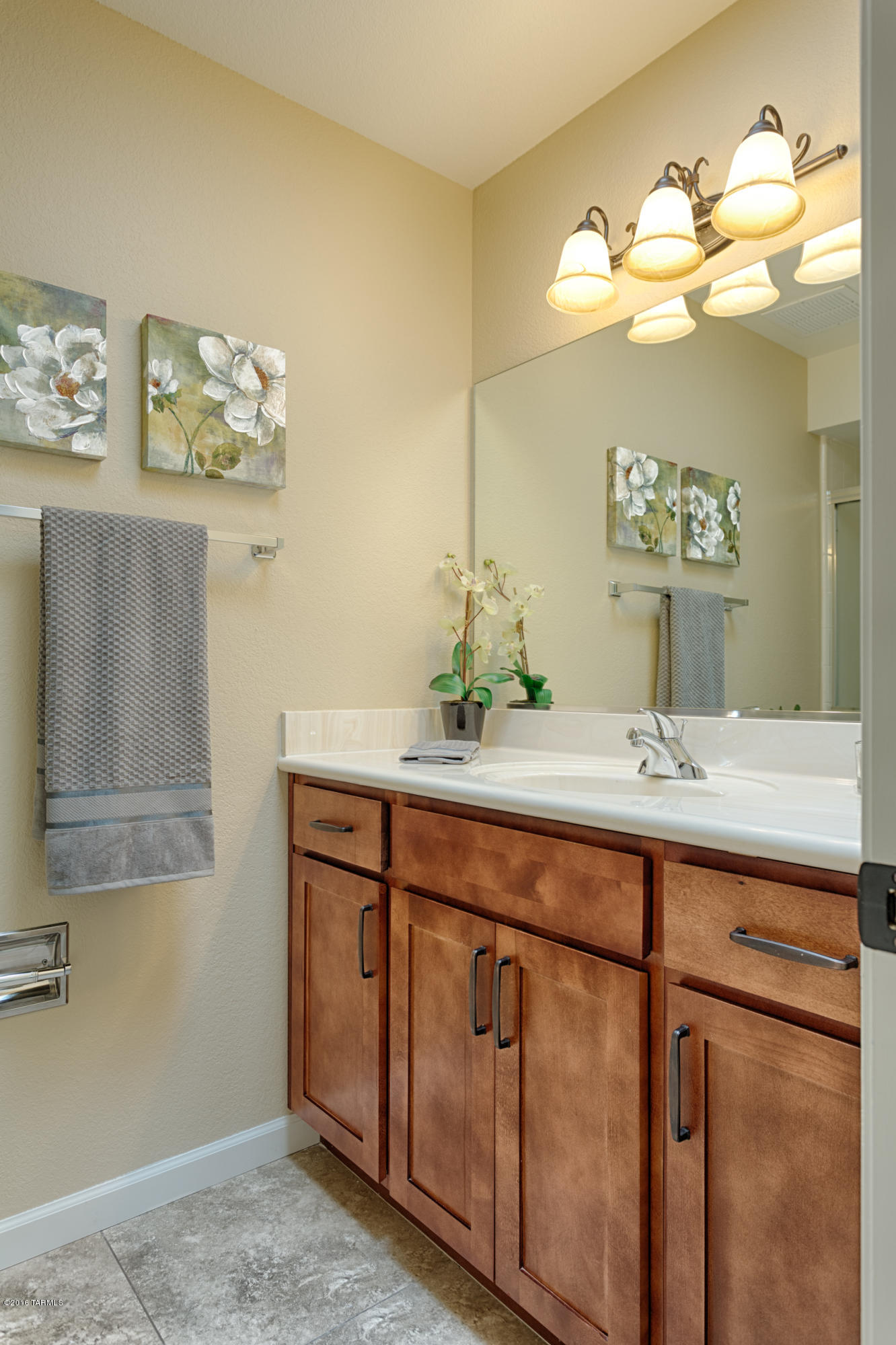 4501 N Tortolita Road