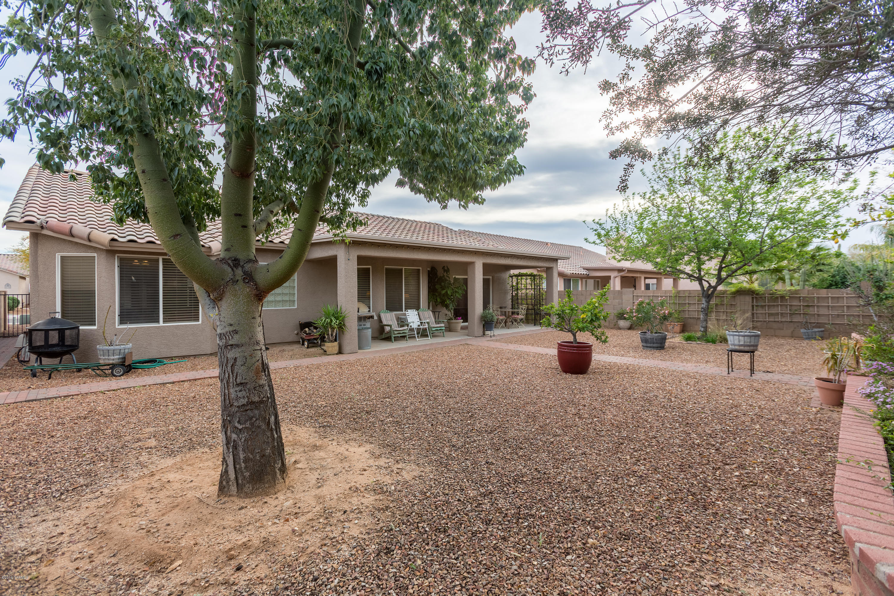 2646 W Cholla Ridge Place