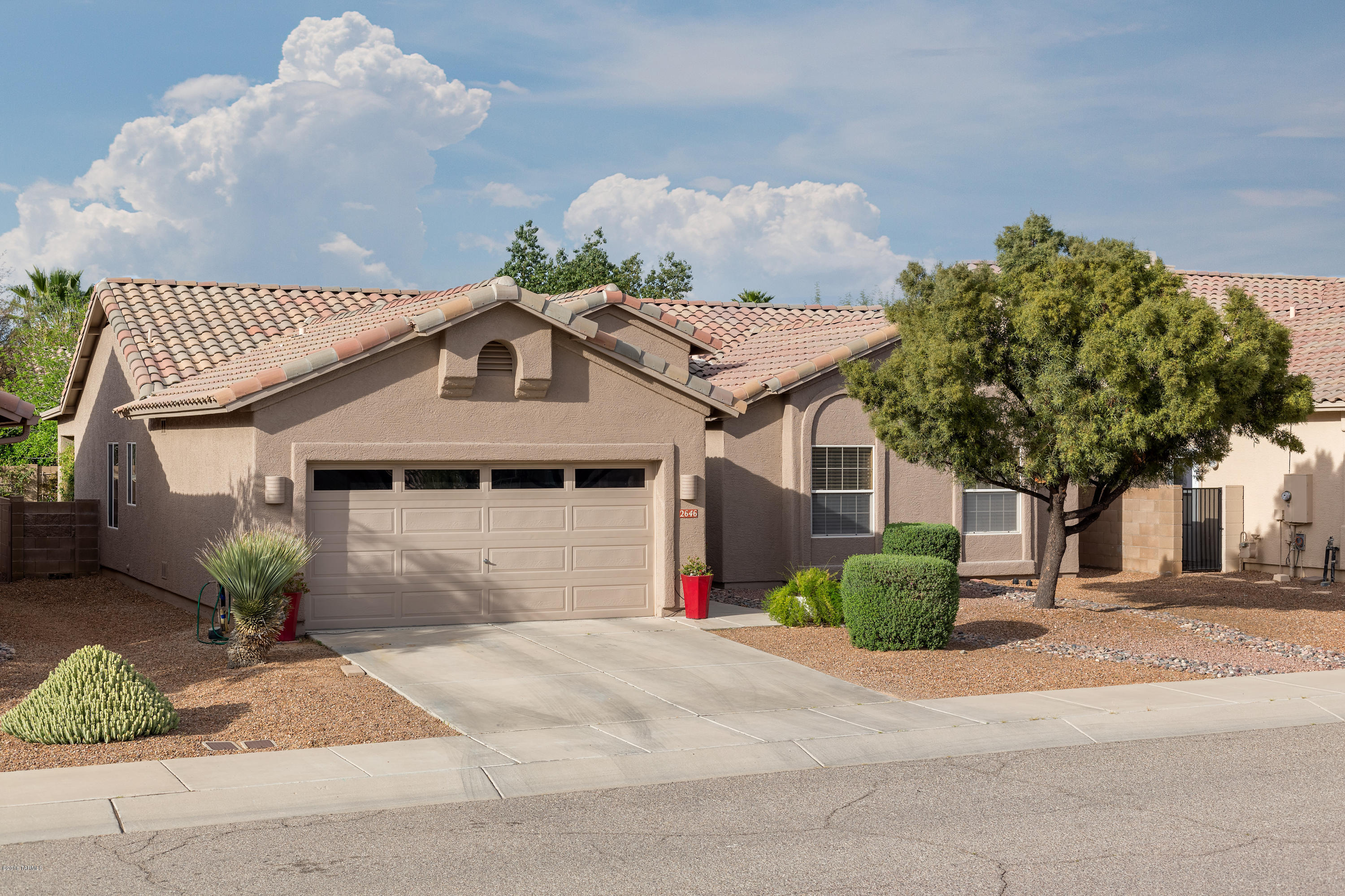 2646 W Cholla Ridge Place