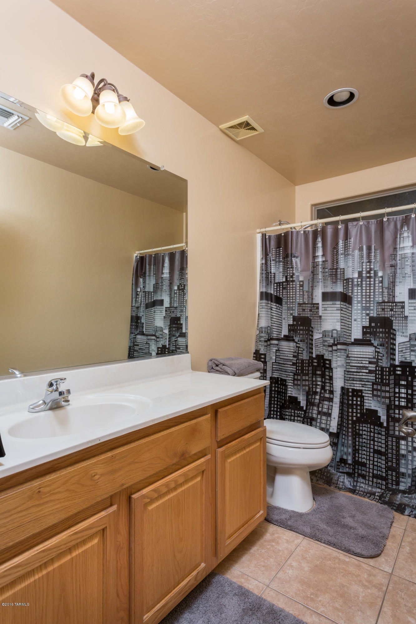 15373 S Camino Laguna Clara