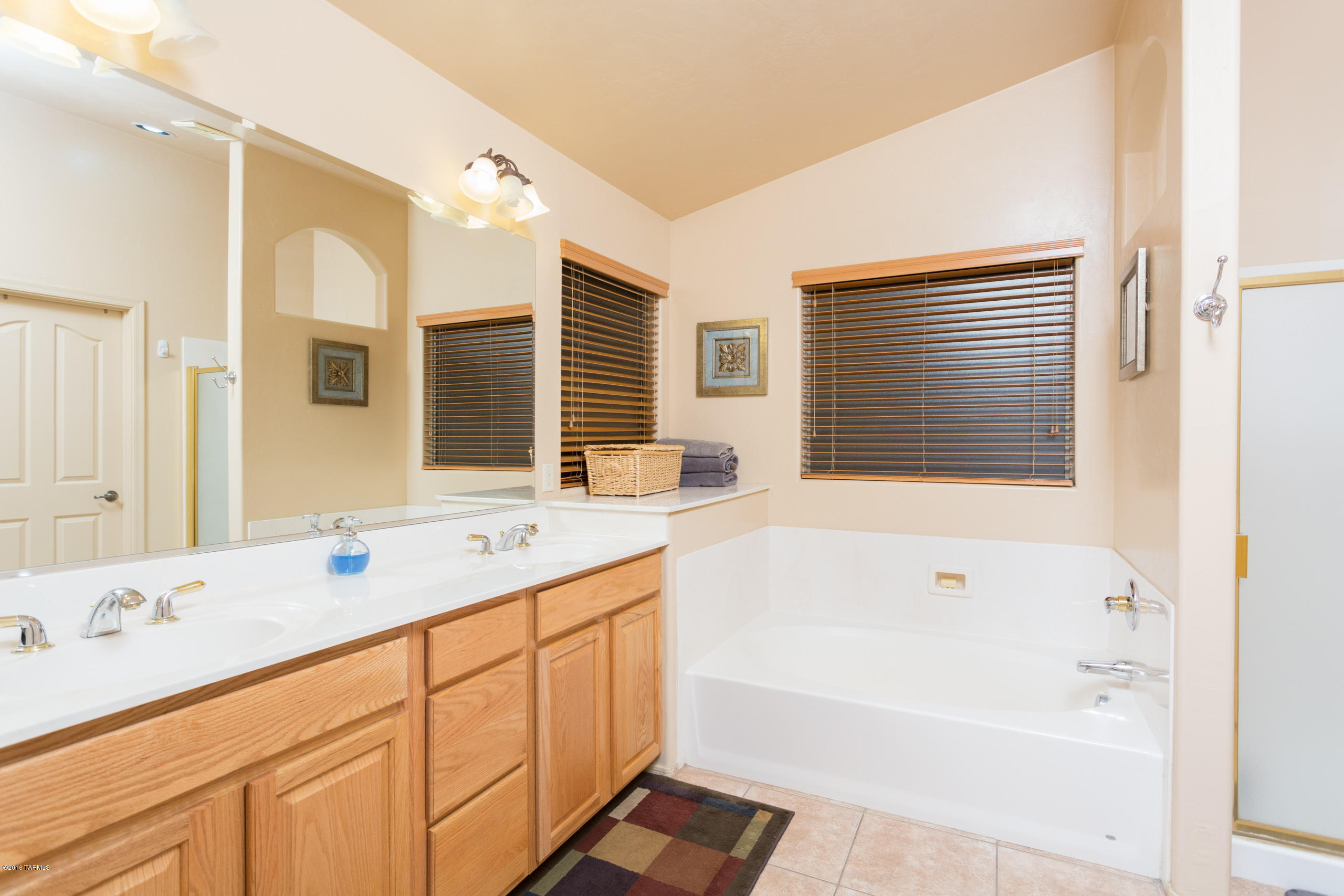 15373 S Camino Laguna Clara