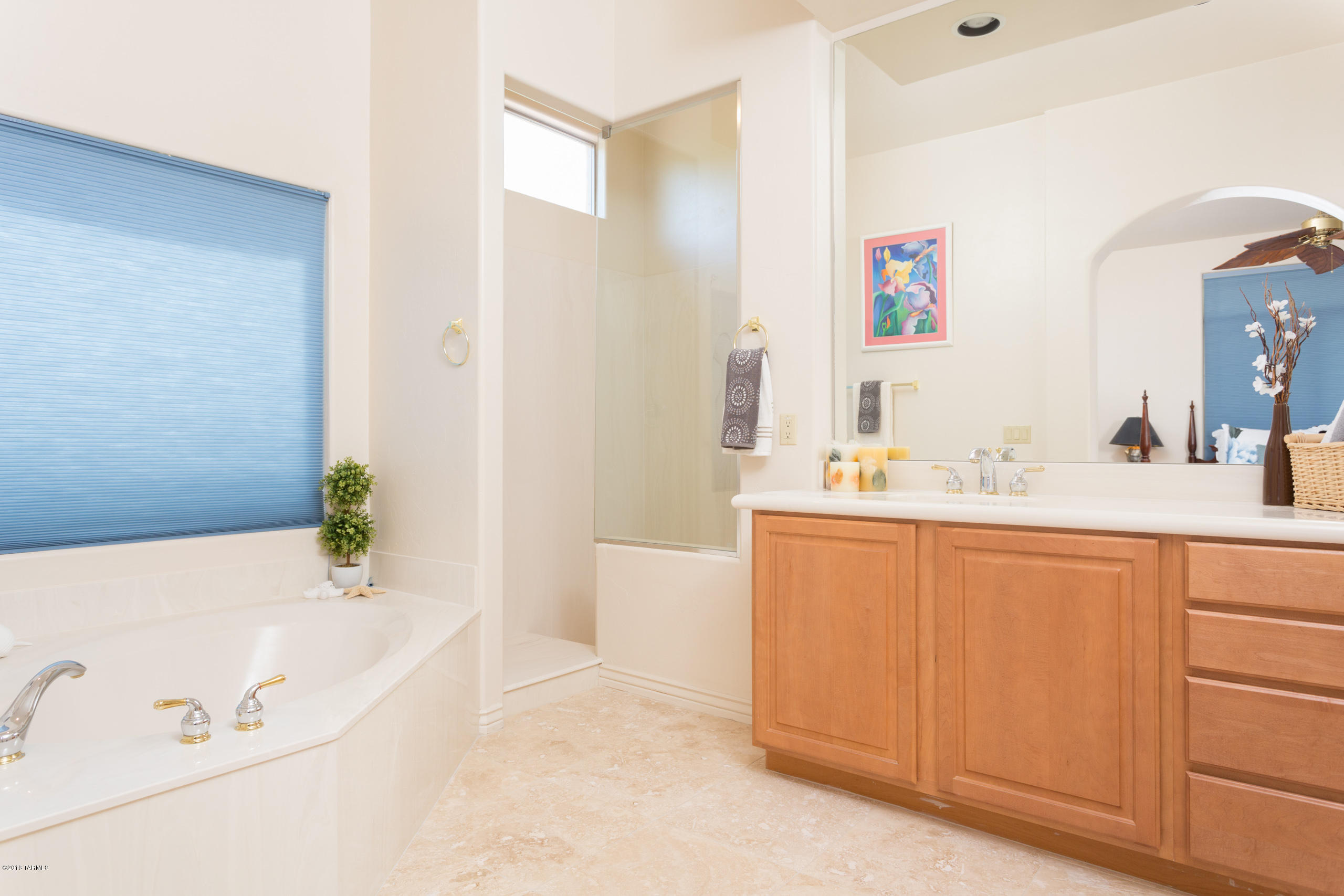 13821 N Azure Springs Drive