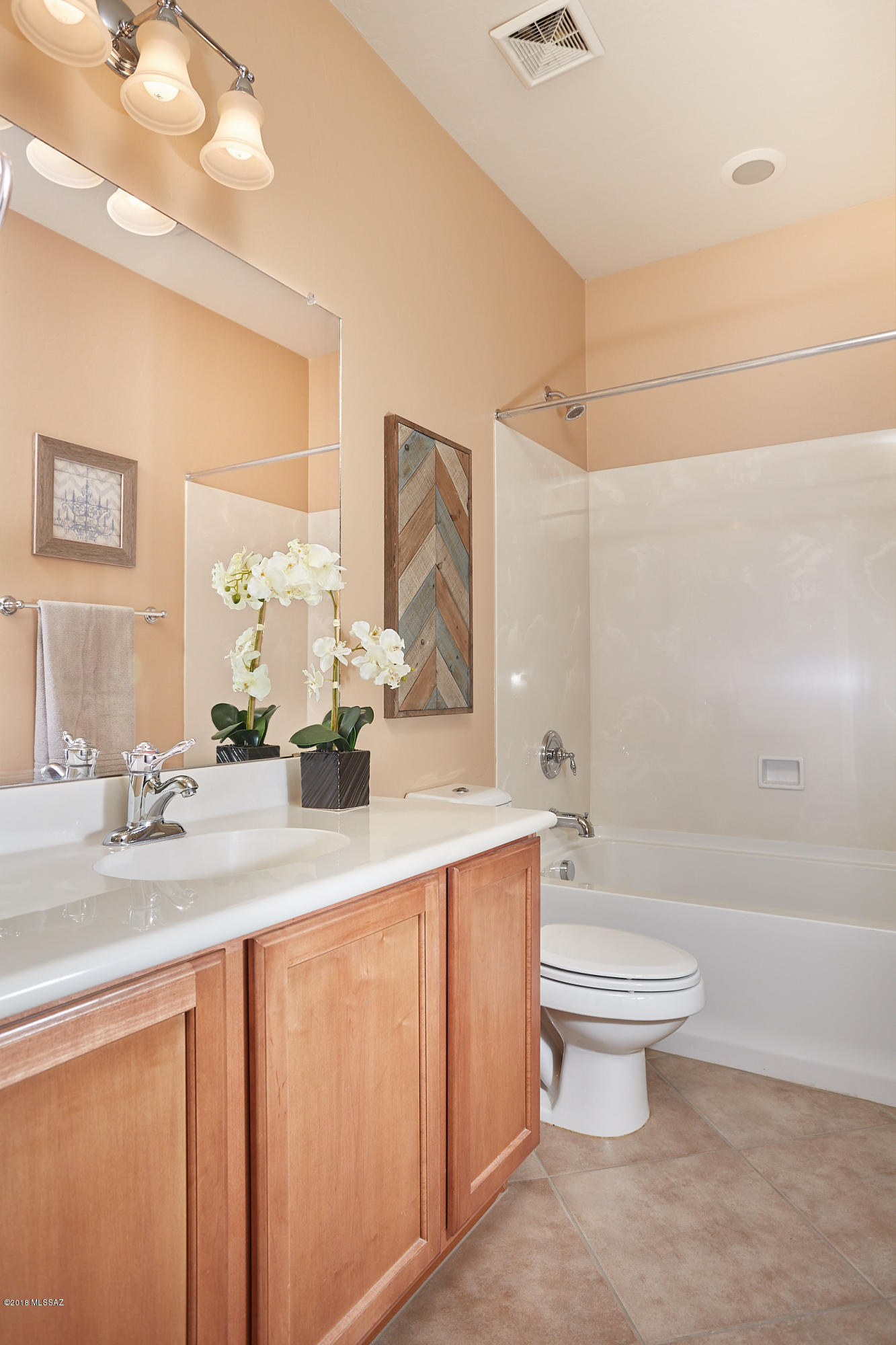 10787 E Orchid Cactus Lane