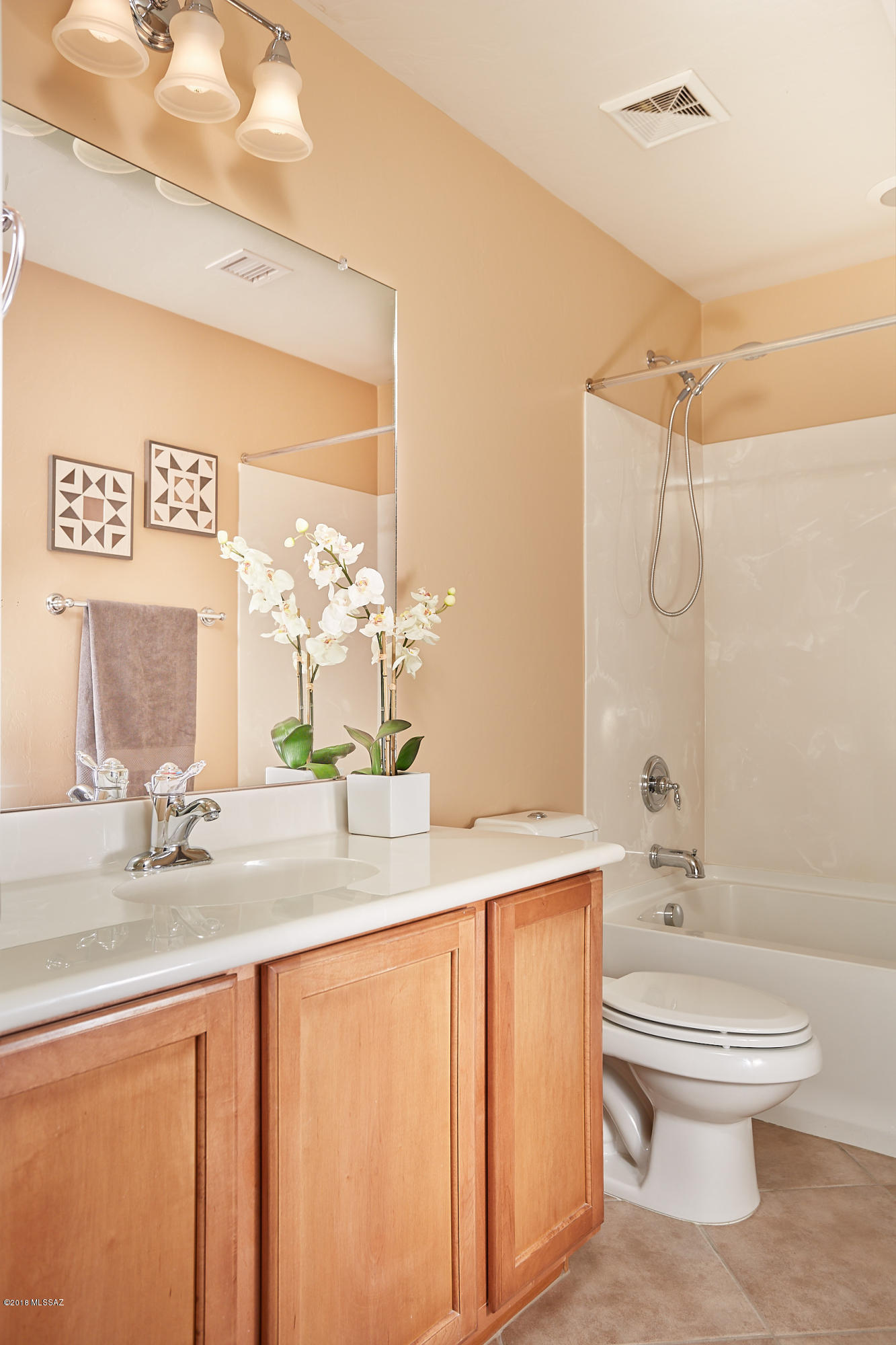 10787 E Orchid Cactus Lane