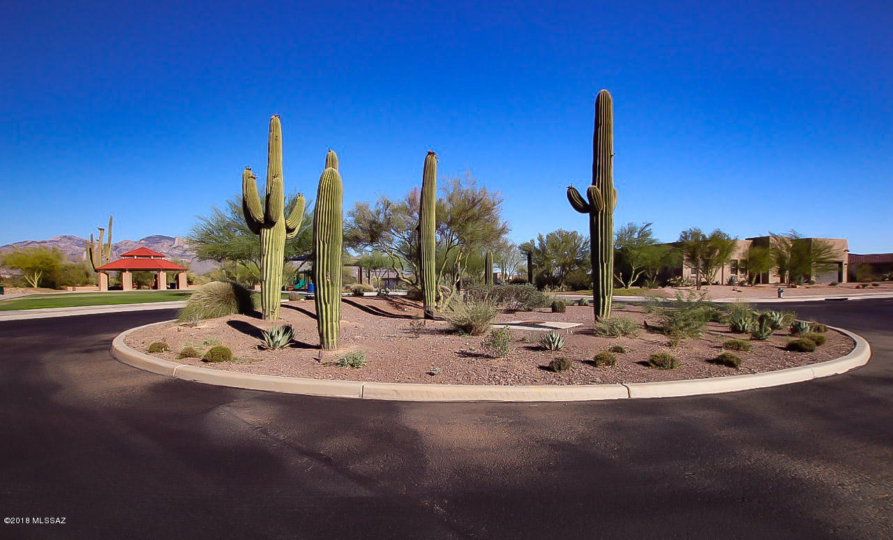 11791 N Palawan Place