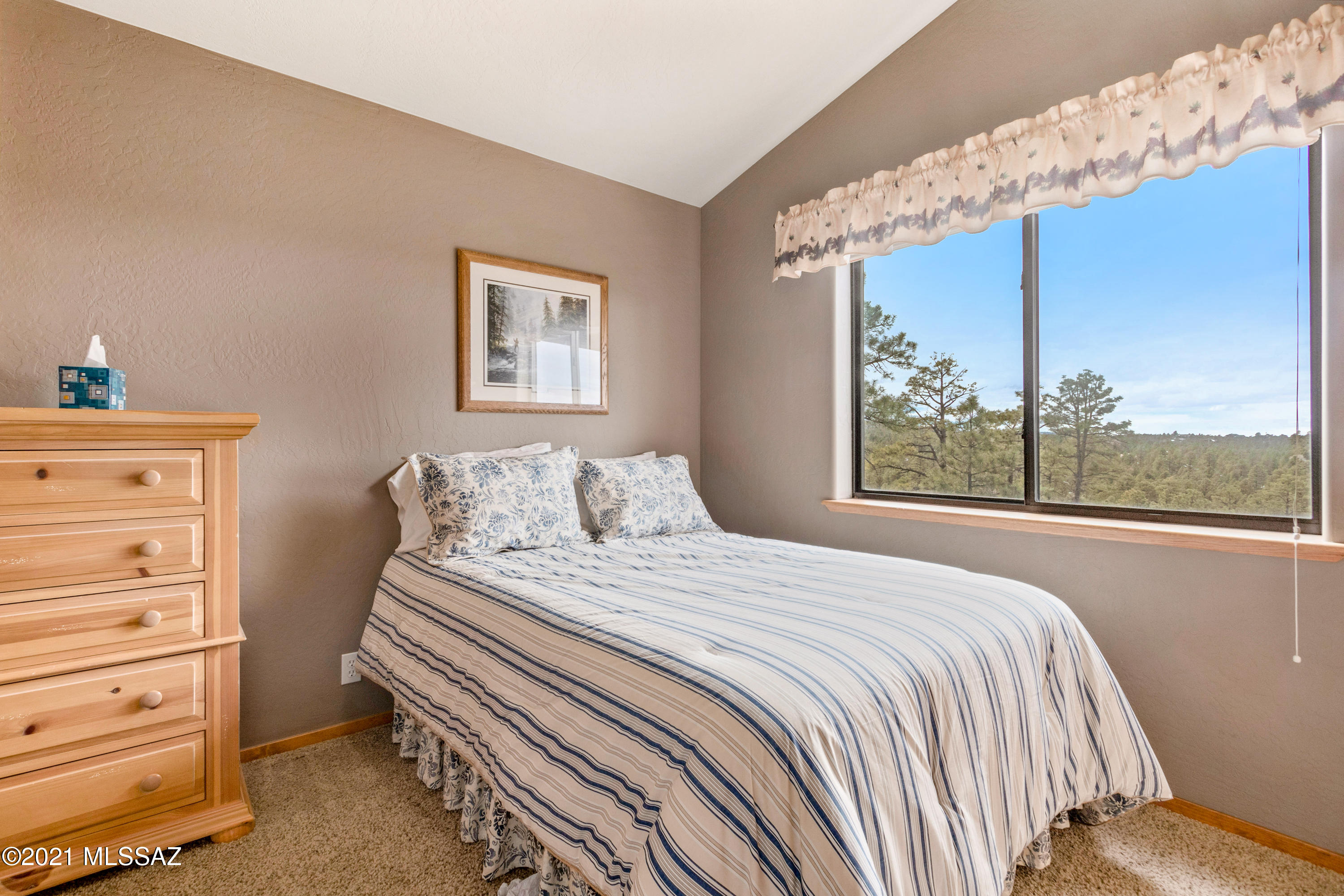 1780 S Twin Peak Trail