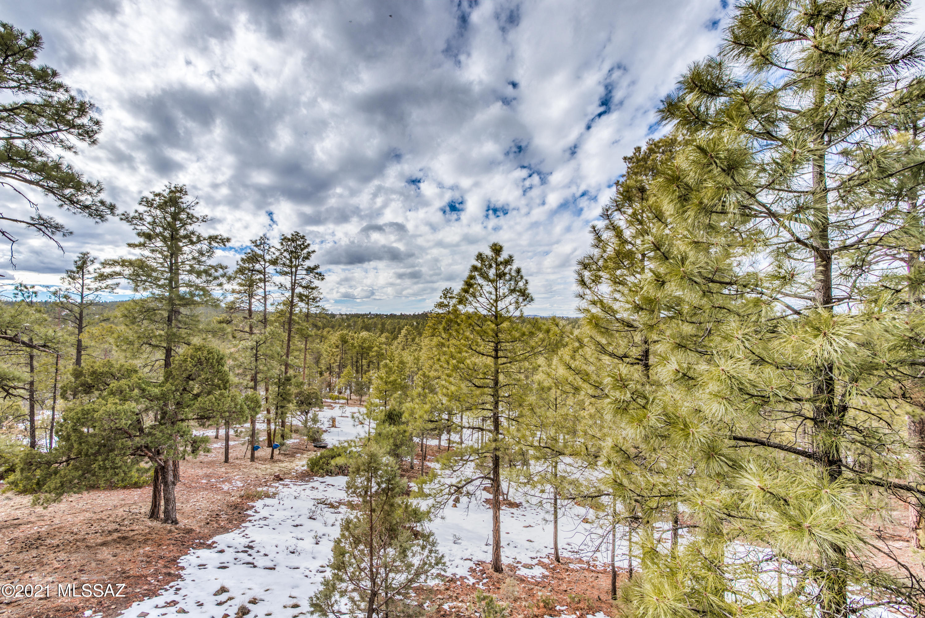 1780 S Twin Peak Trail